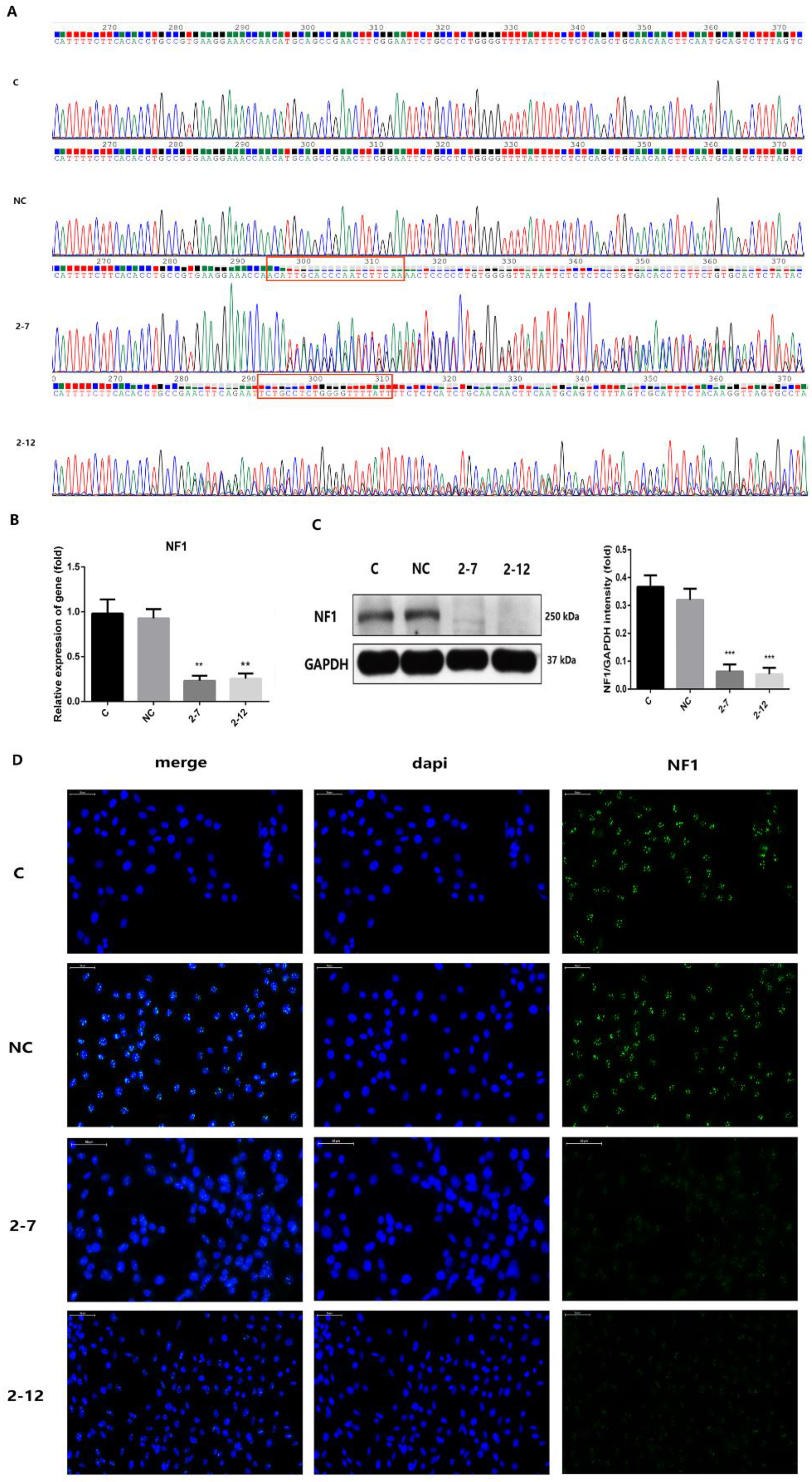 Molecules 28 05128 g001