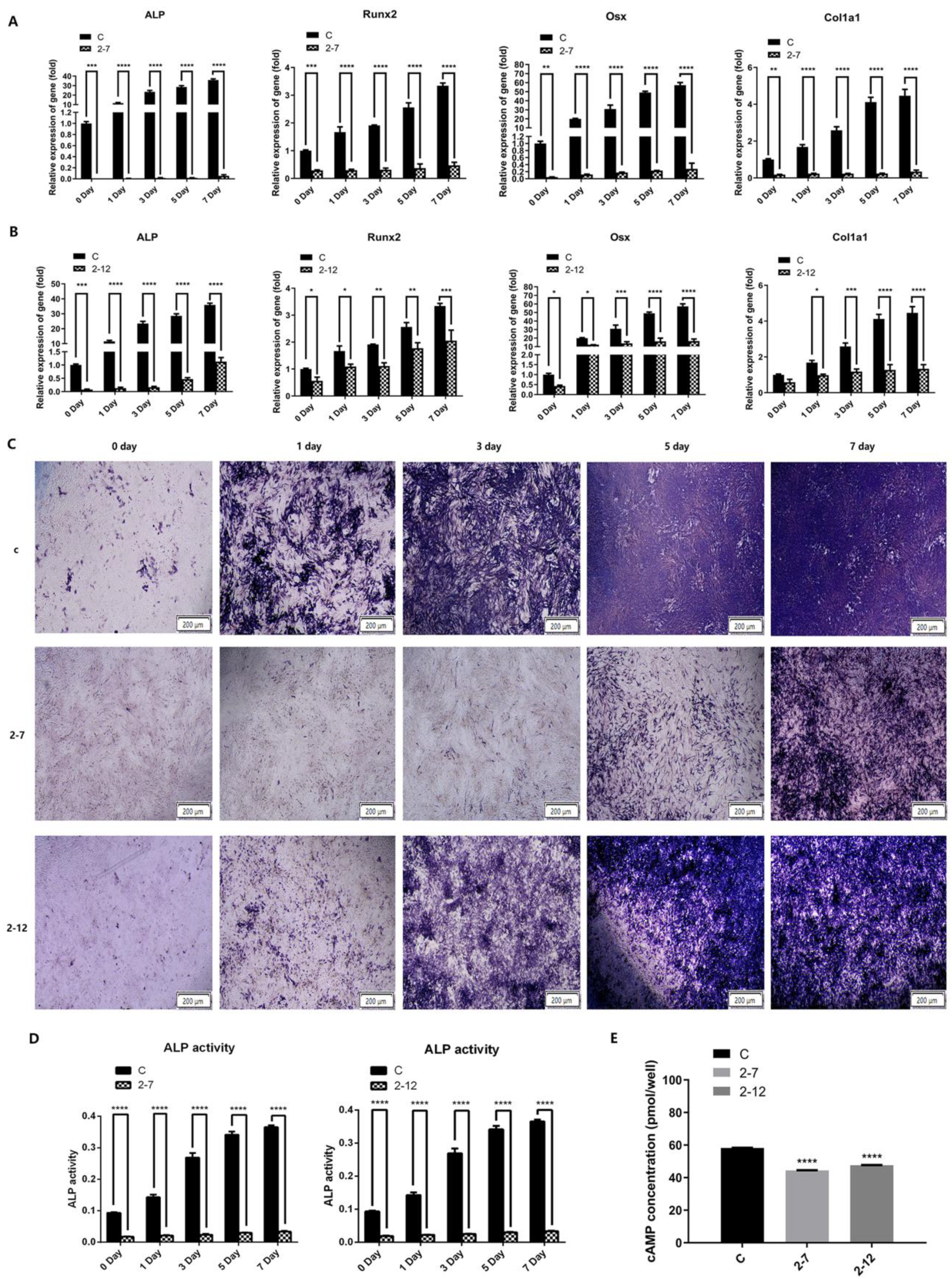 Molecules 28 05128 g002