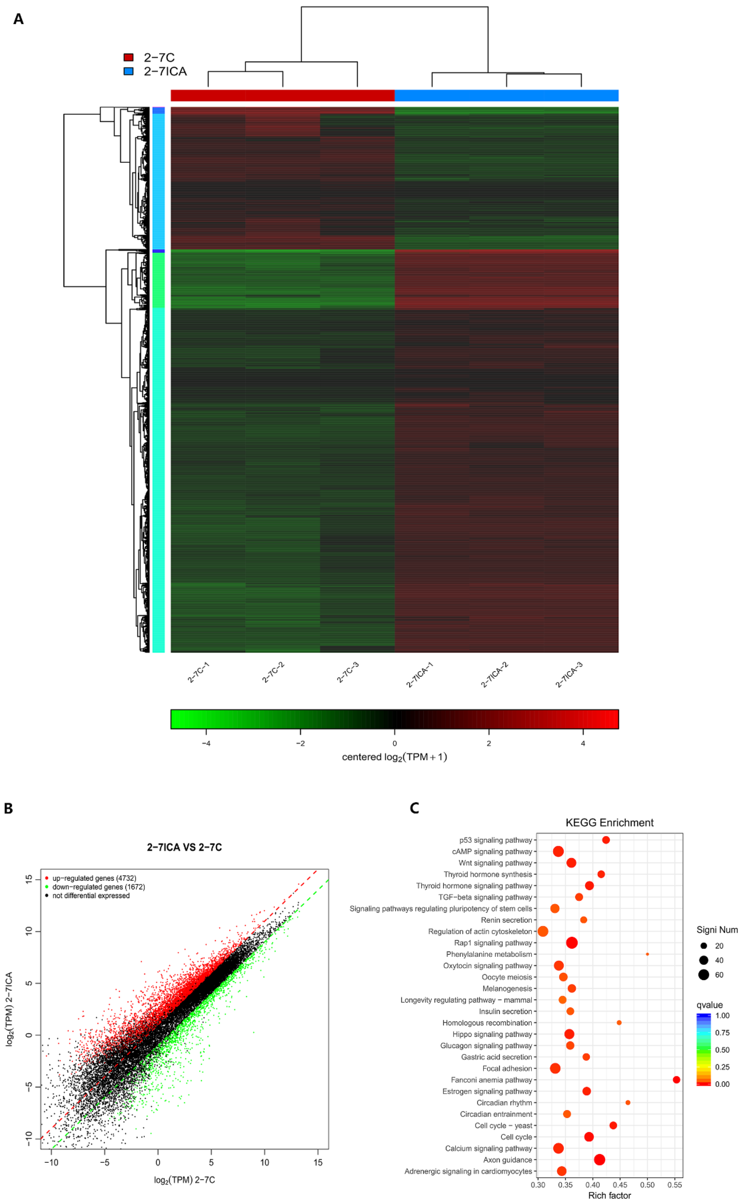 Molecules 28 05128 g004