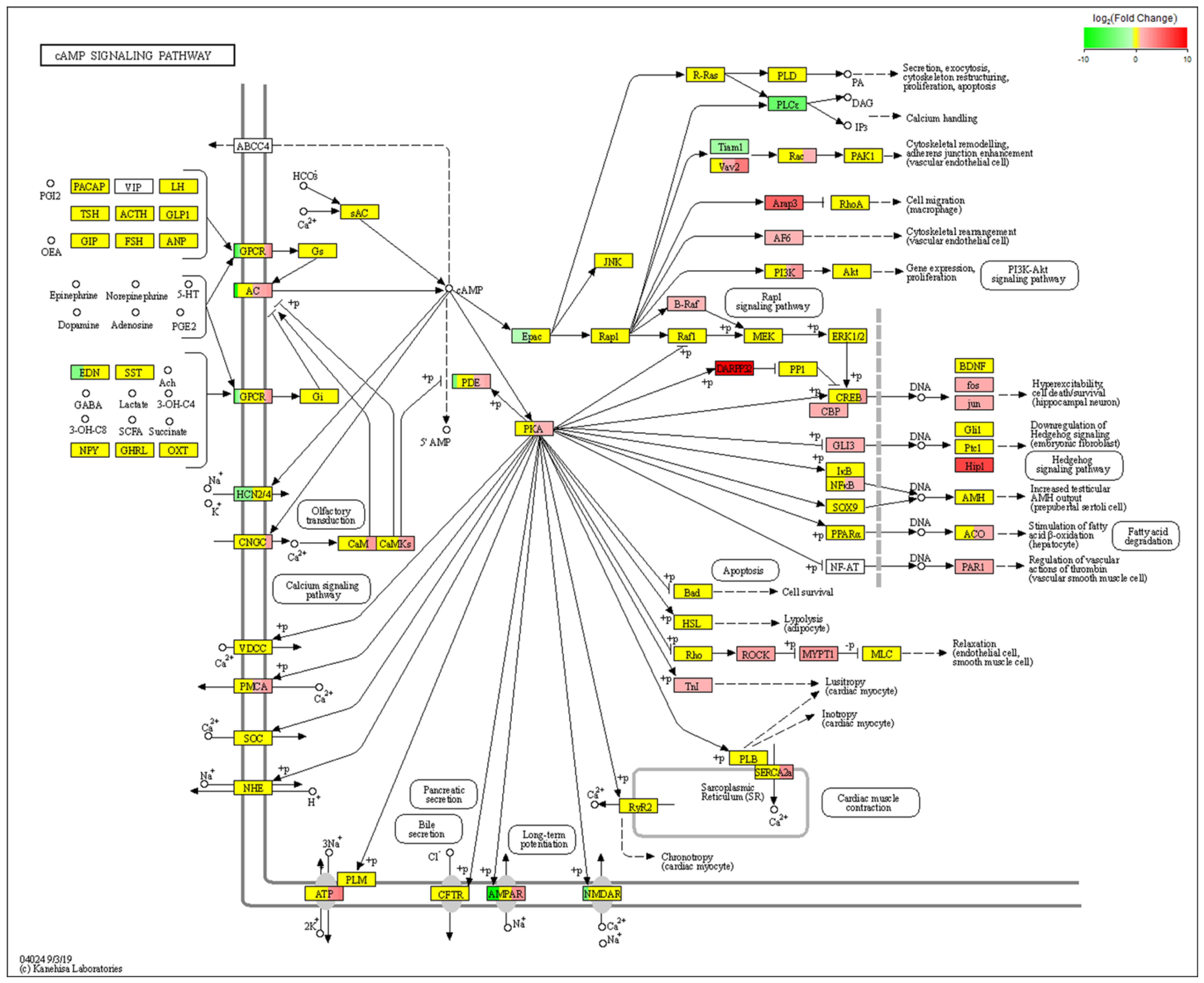 Molecules 28 05128 g005