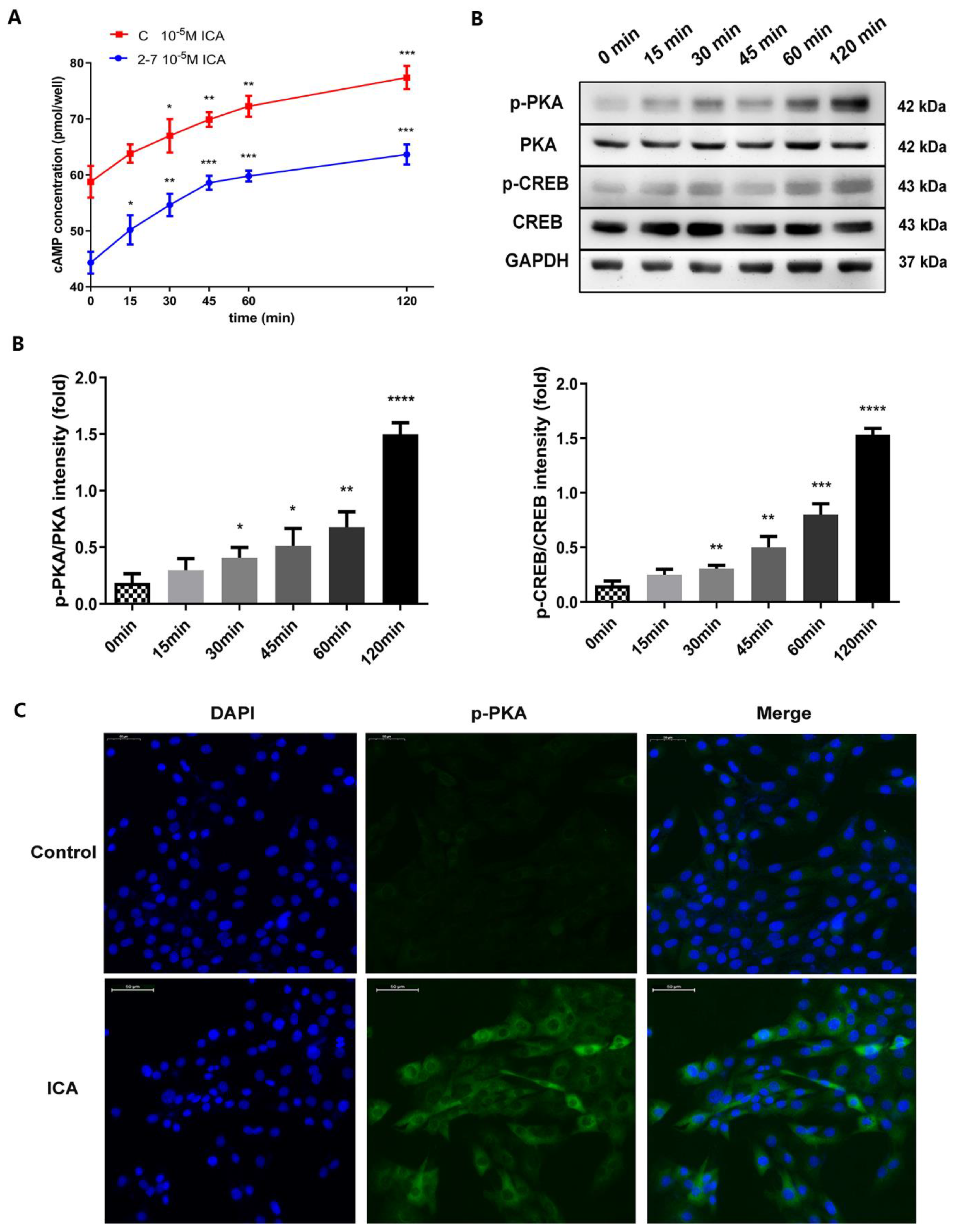 Molecules 28 05128 g006
