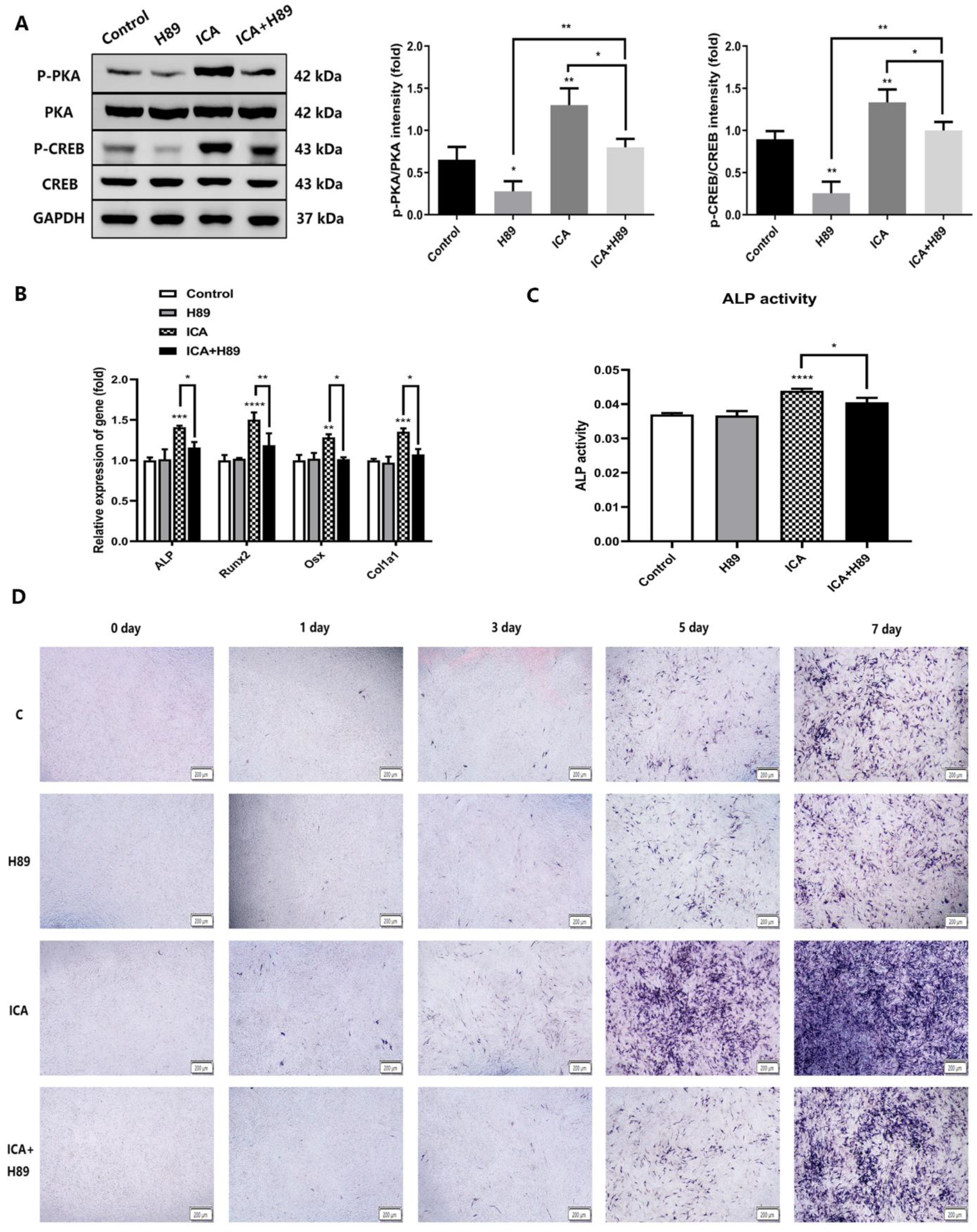 Molecules 28 05128 g007