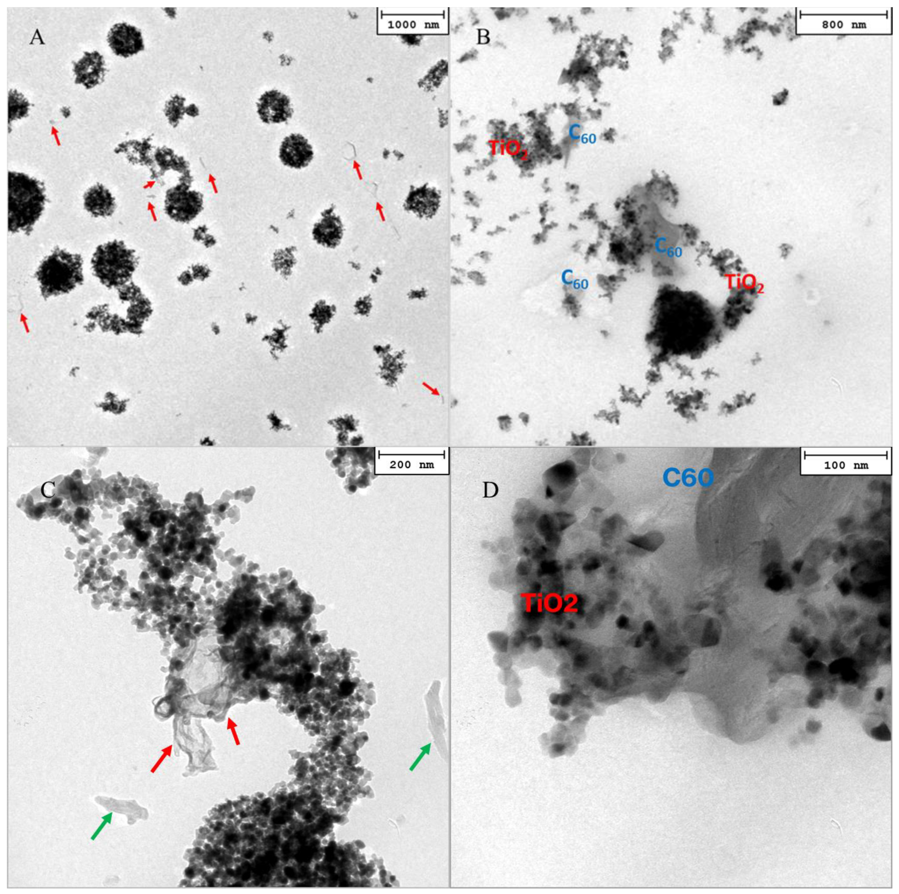 Molecules 28 05131 g003