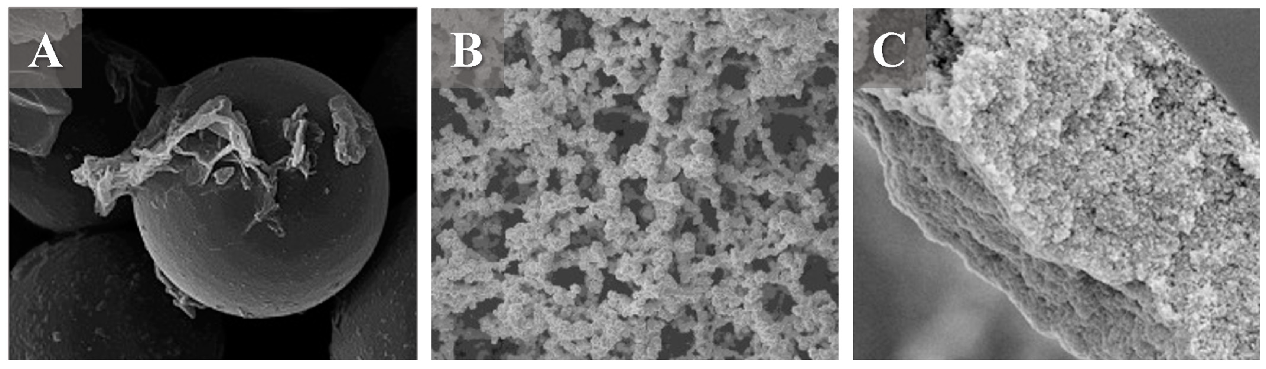 Molecules 28 05134 g003 Molecules 28 05134 g003