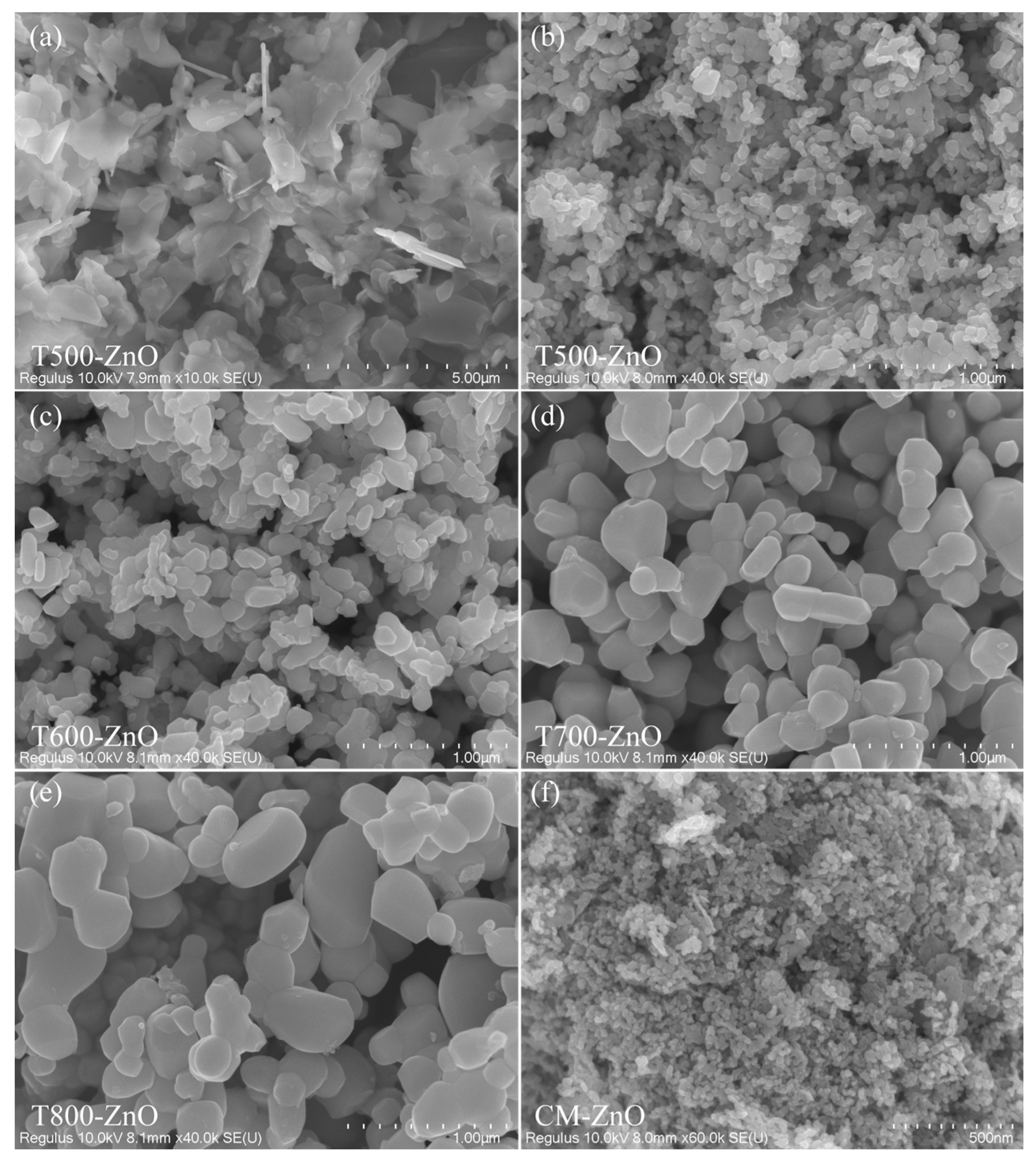 Molecules 28 05135 g002