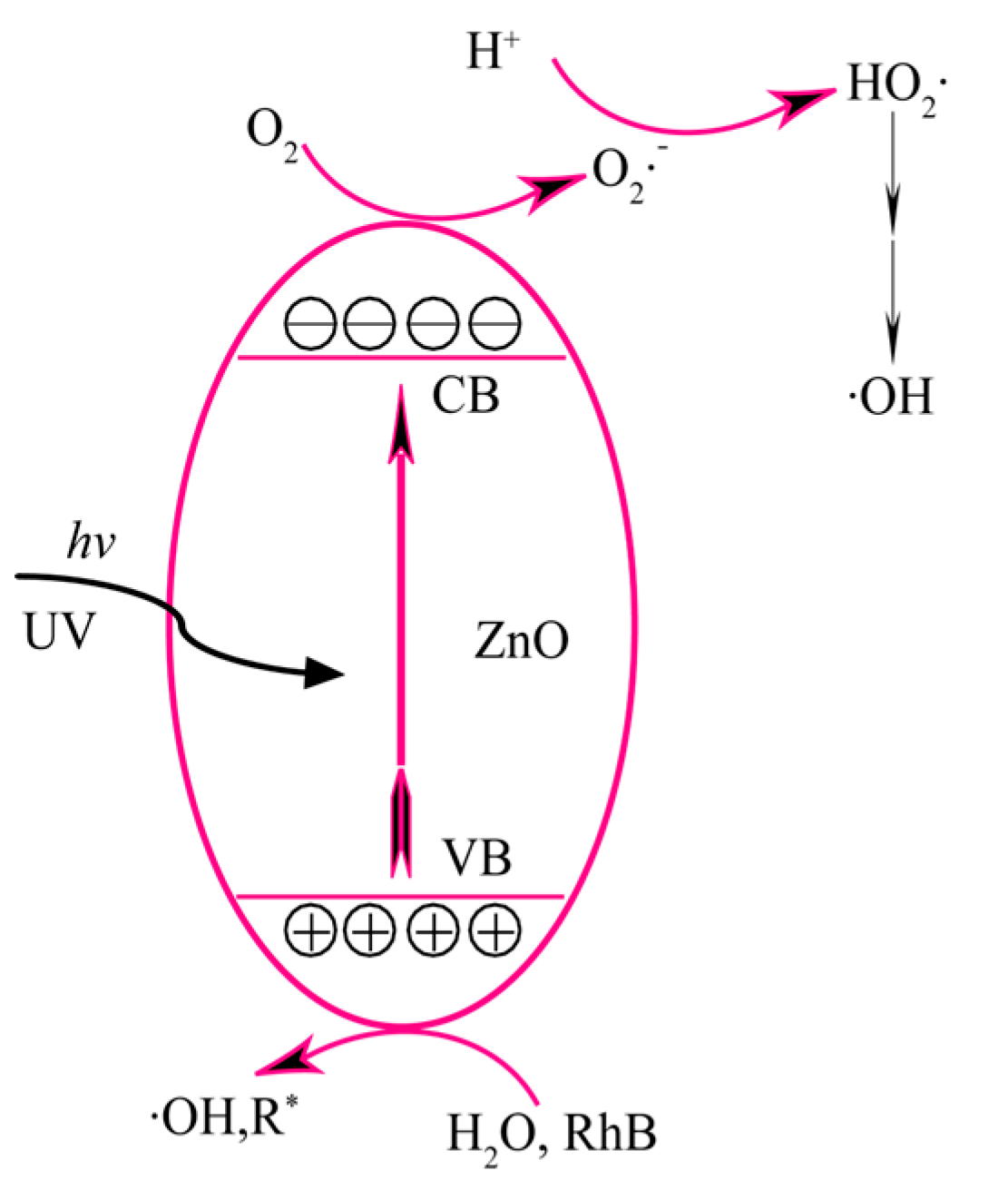 Molecules 28 05135 g008