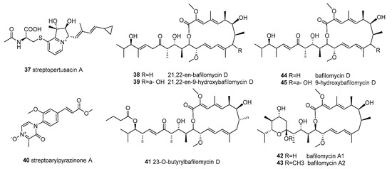 Natural Products and Biological Activity from Actinomycetes Associated ...