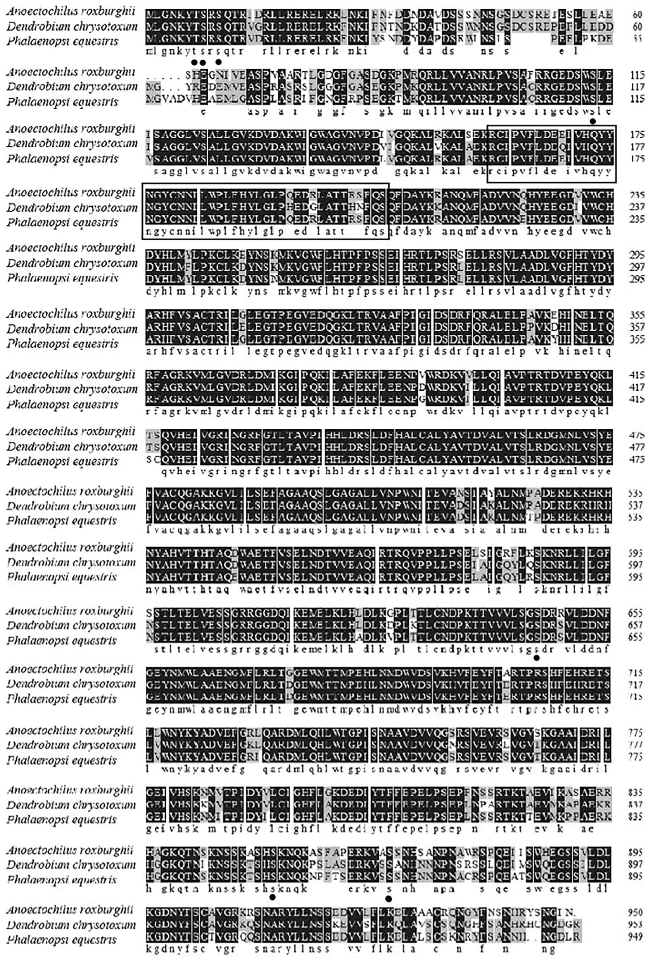 Molecules 28 05139 g001 Molecules 28 05139 g001