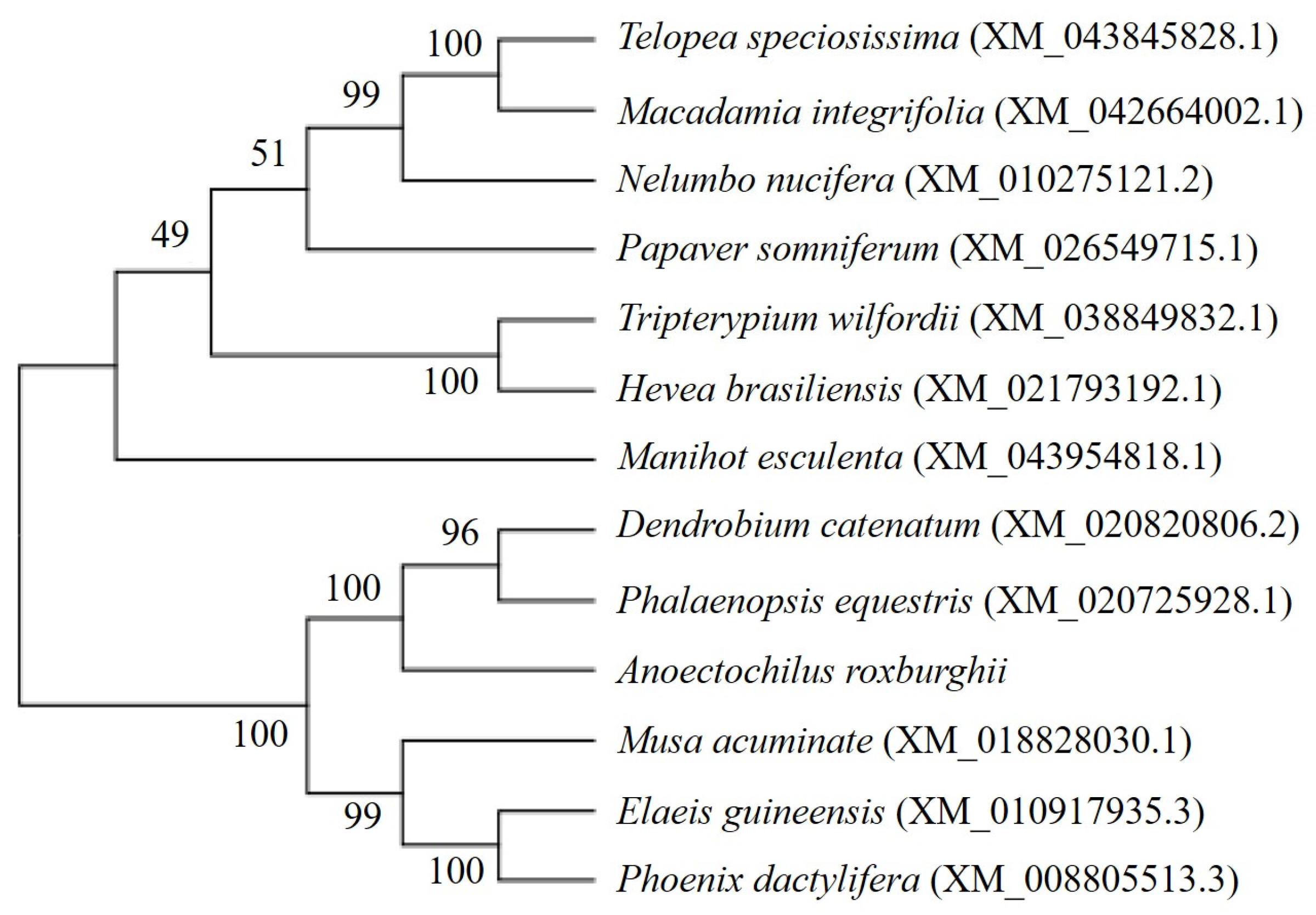 Molecules 28 05139 g002 Molecules 28 05139 g002