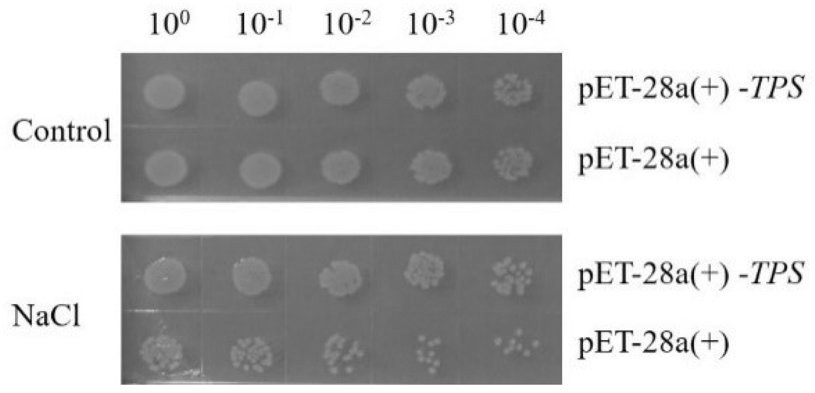 Molecules 28 05139 g003 Molecules 28 05139 g003