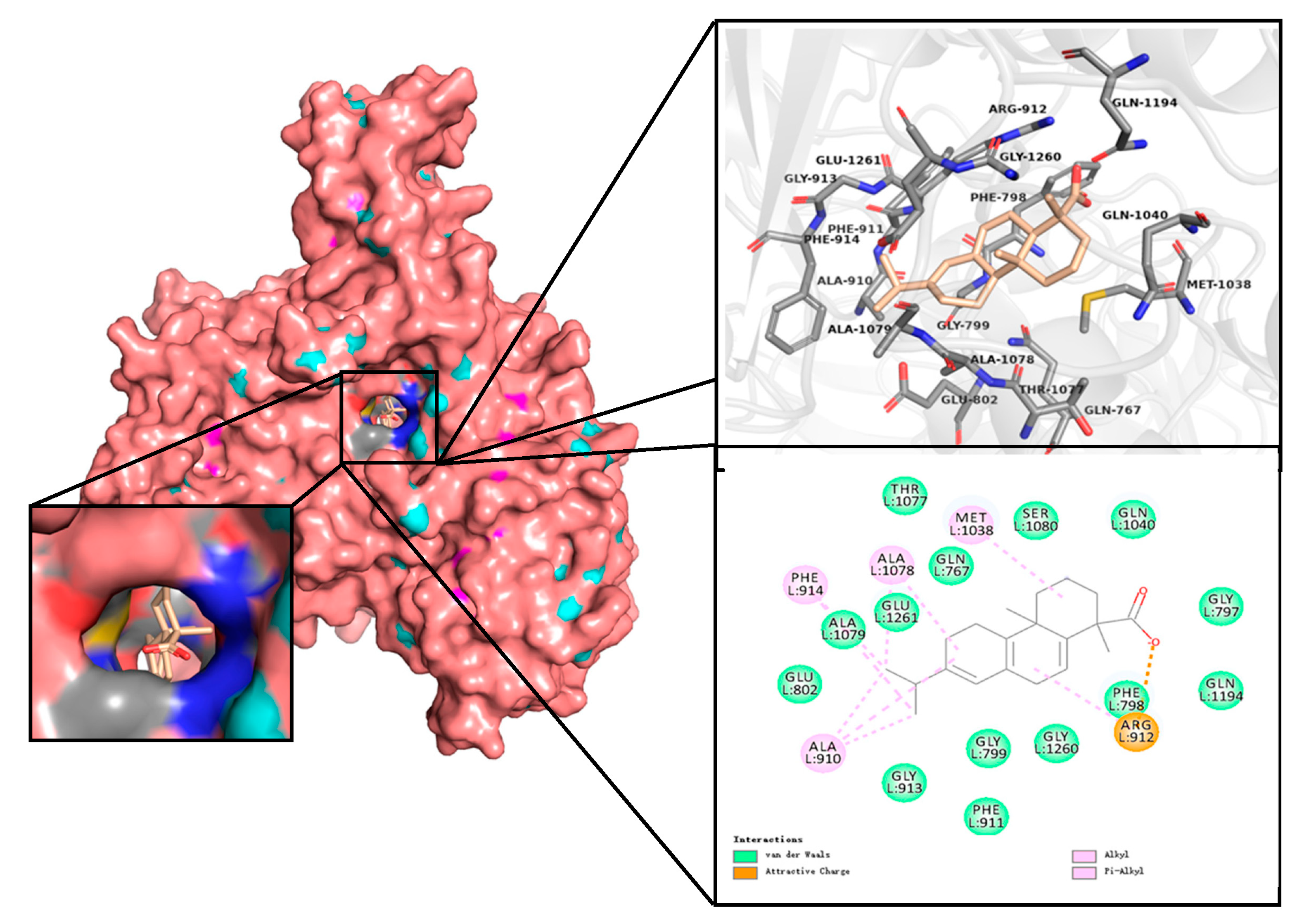 Molecules 28 05141 g003 Molecules 28 05141 g003