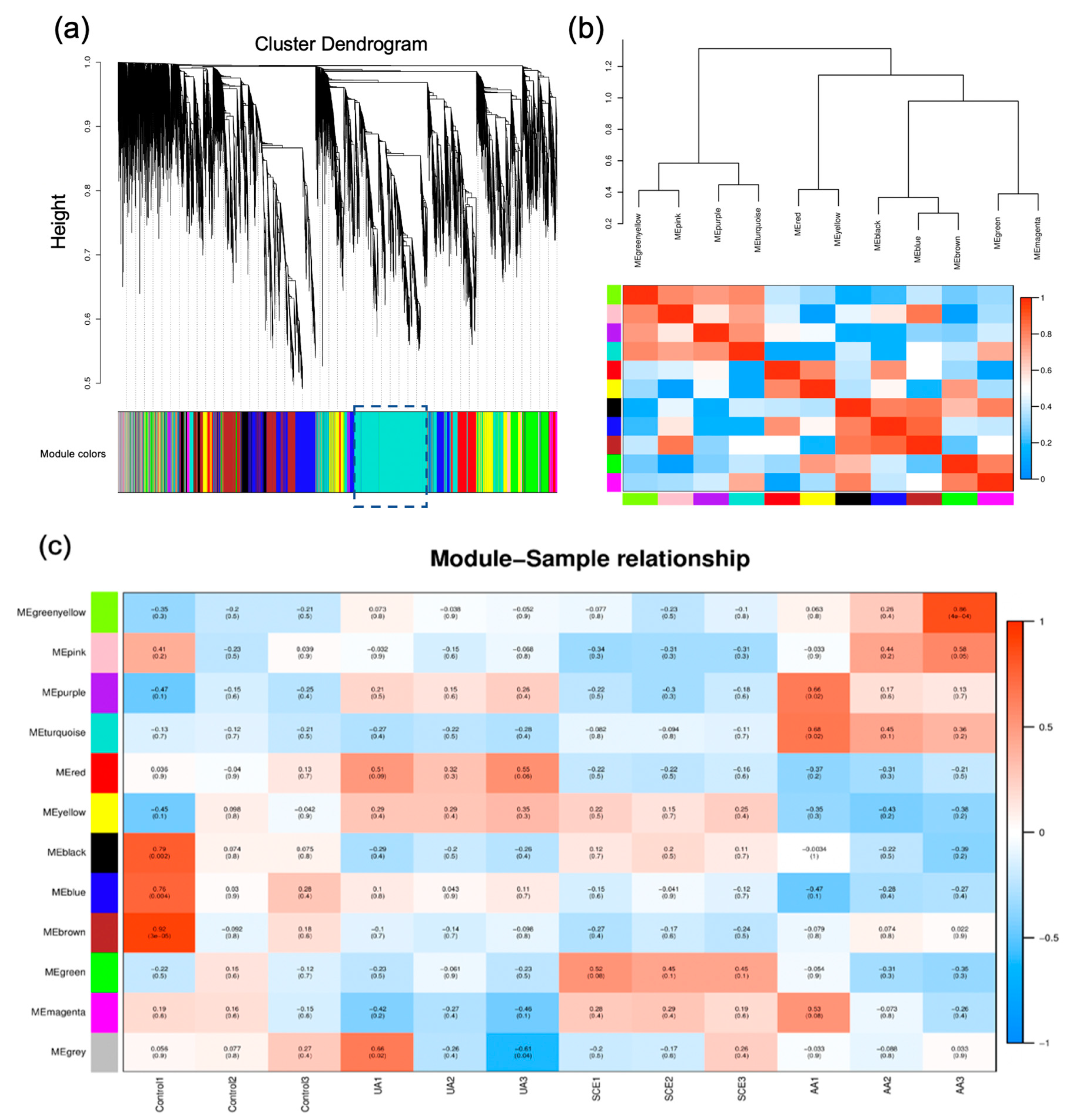 Molecules 28 05141 g005 Molecules 28 05141 g005