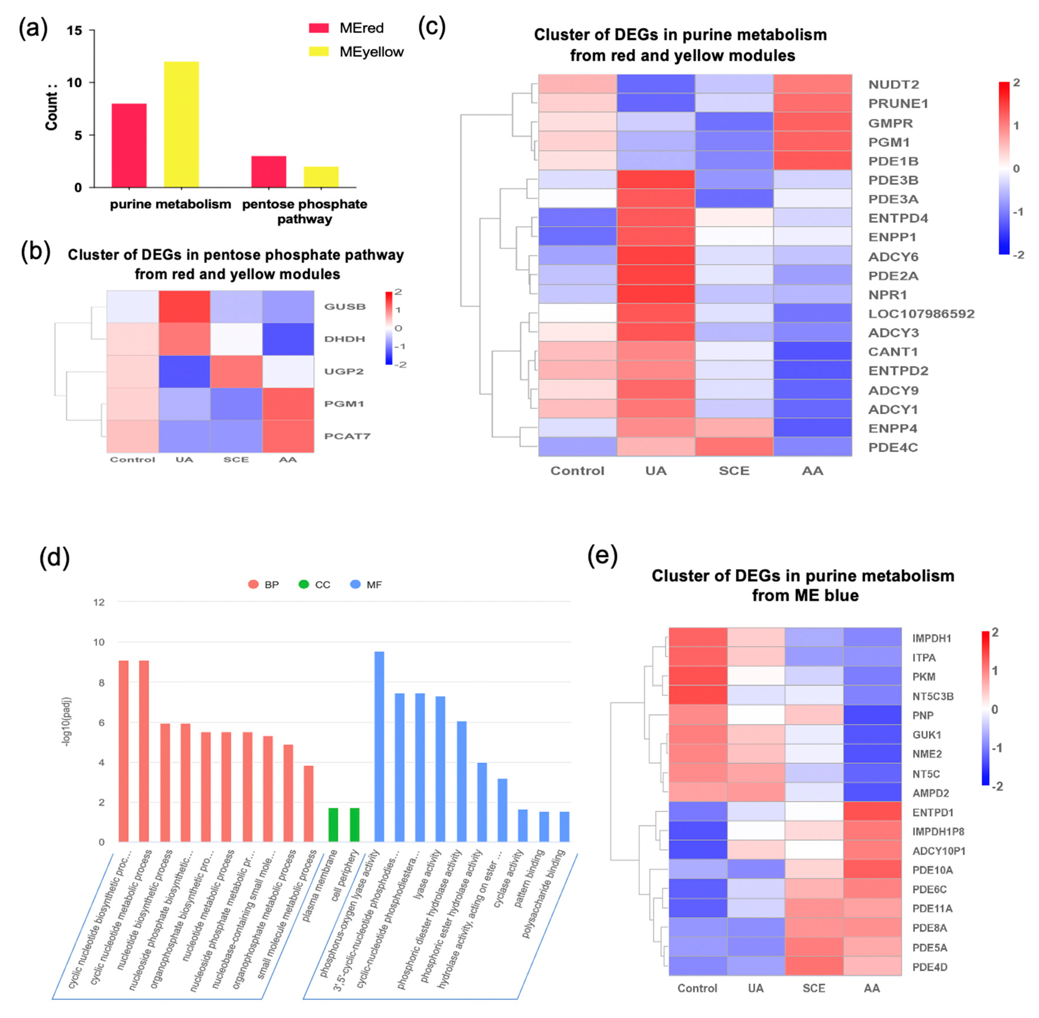 Molecules 28 05141 g007 Molecules 28 05141 g007