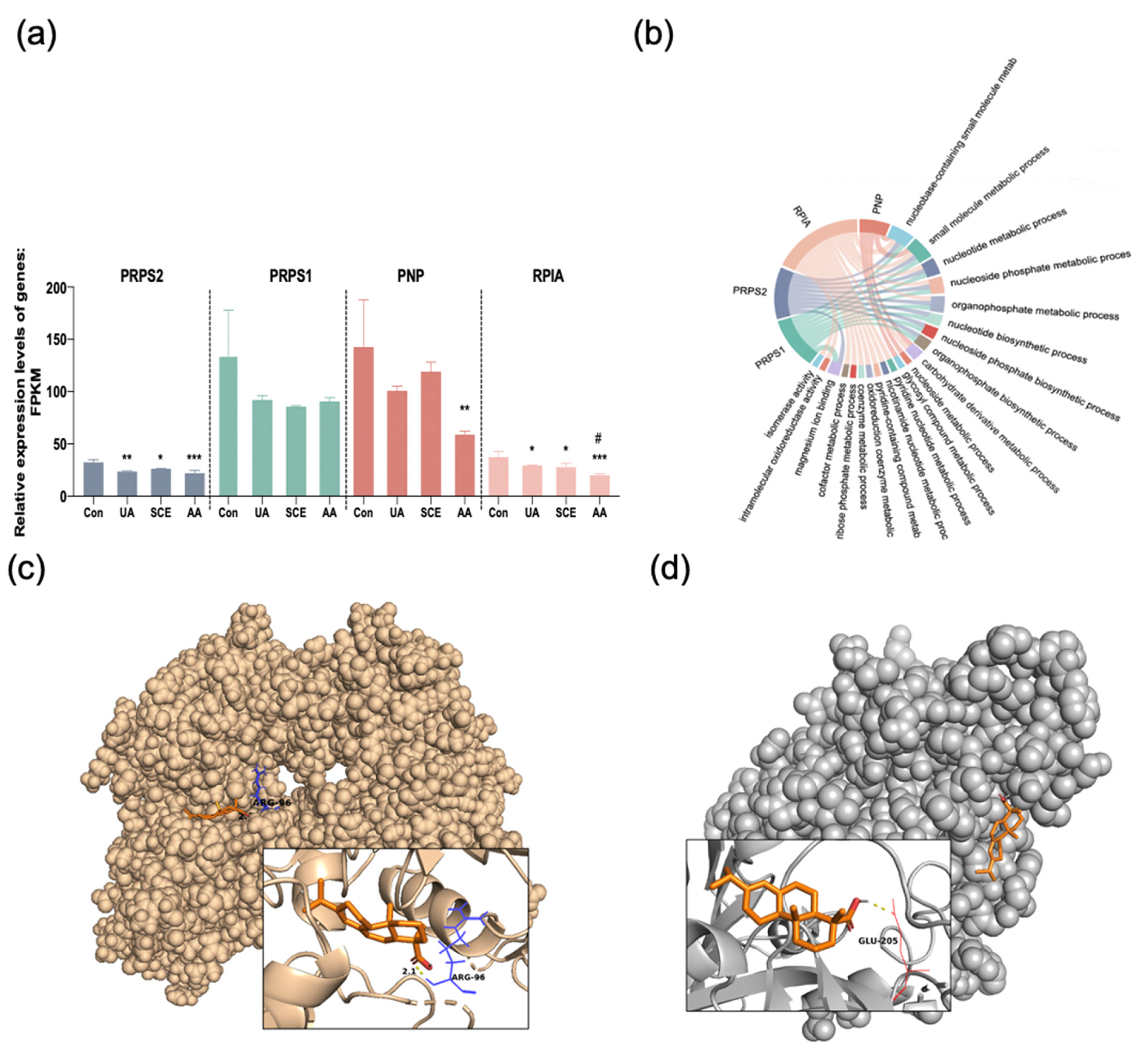 Molecules 28 05141 g008 Molecules 28 05141 g008