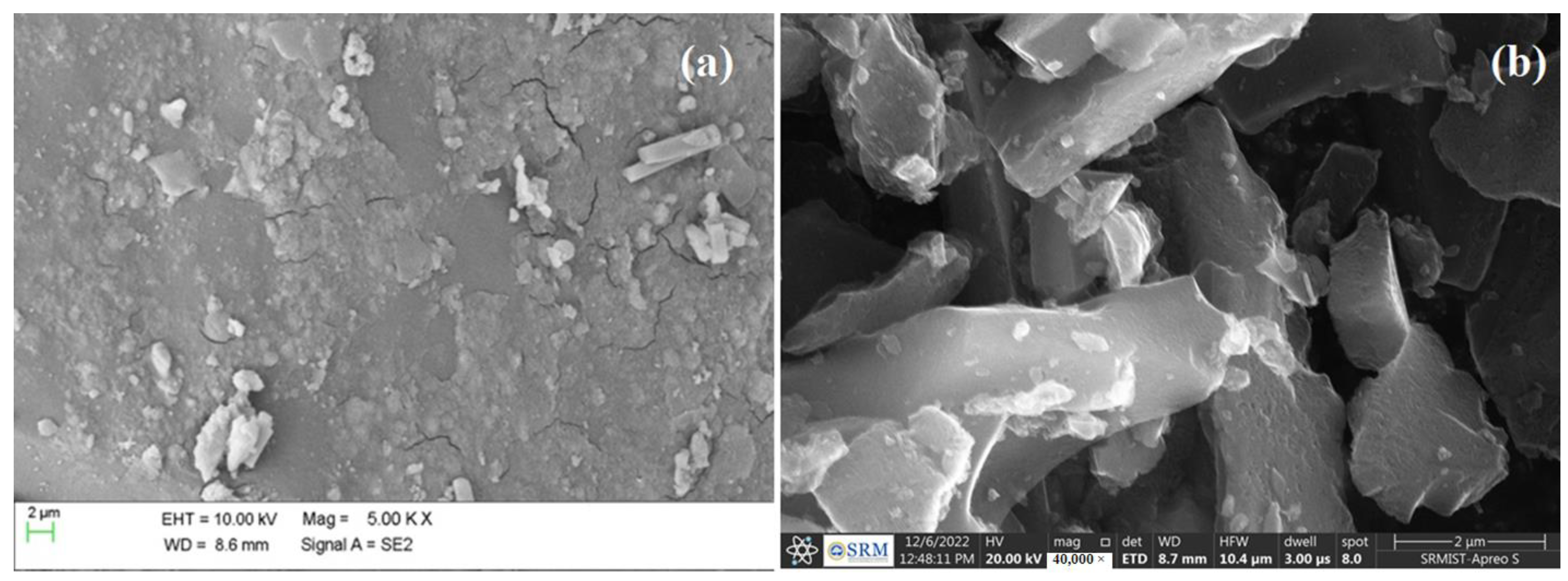 Molecules 28 05142 g012 Molecules 28 05142 g012