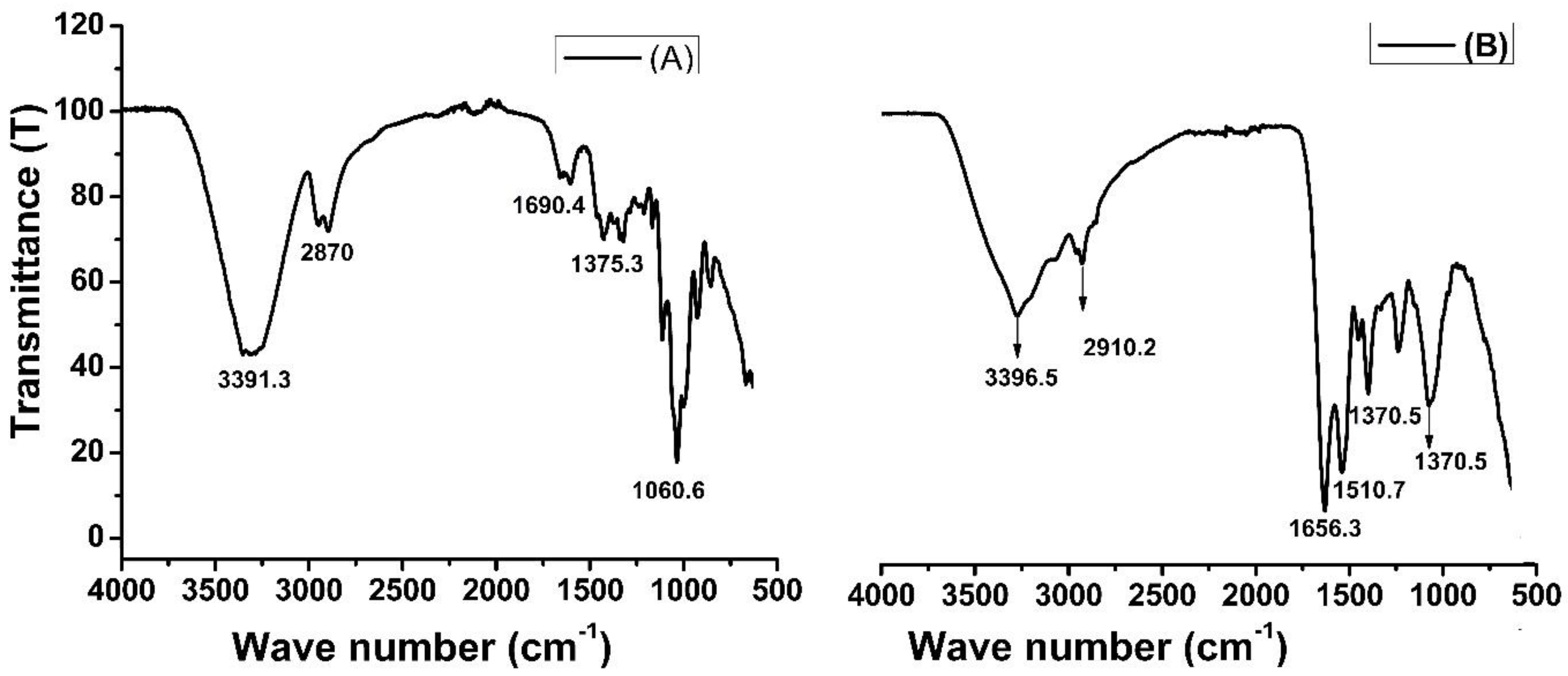 Molecules 28 05146 g002 Molecules 28 05146 g002