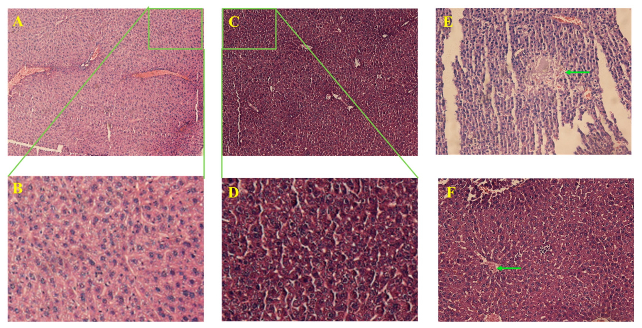 Molecules 28 05149 g003 Molecules 28 05149 g003