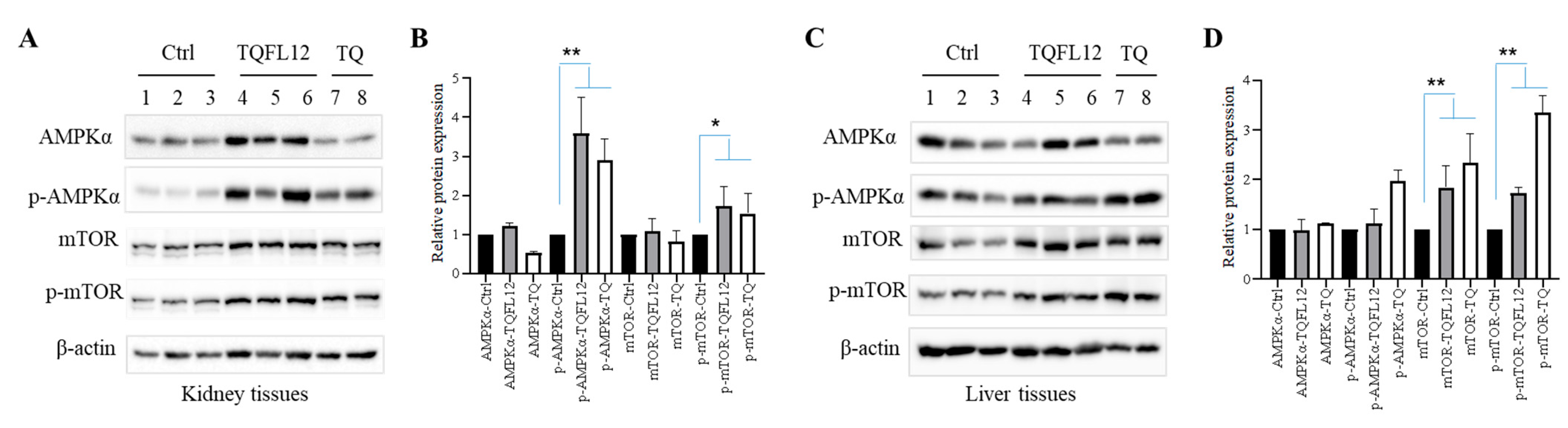 Molecules 28 05149 g005 Molecules 28 05149 g005