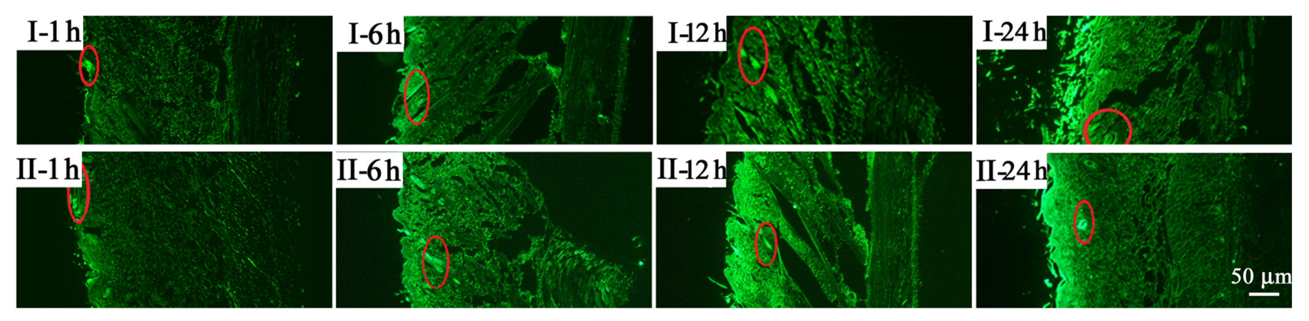 Molecules 28 05151 g002