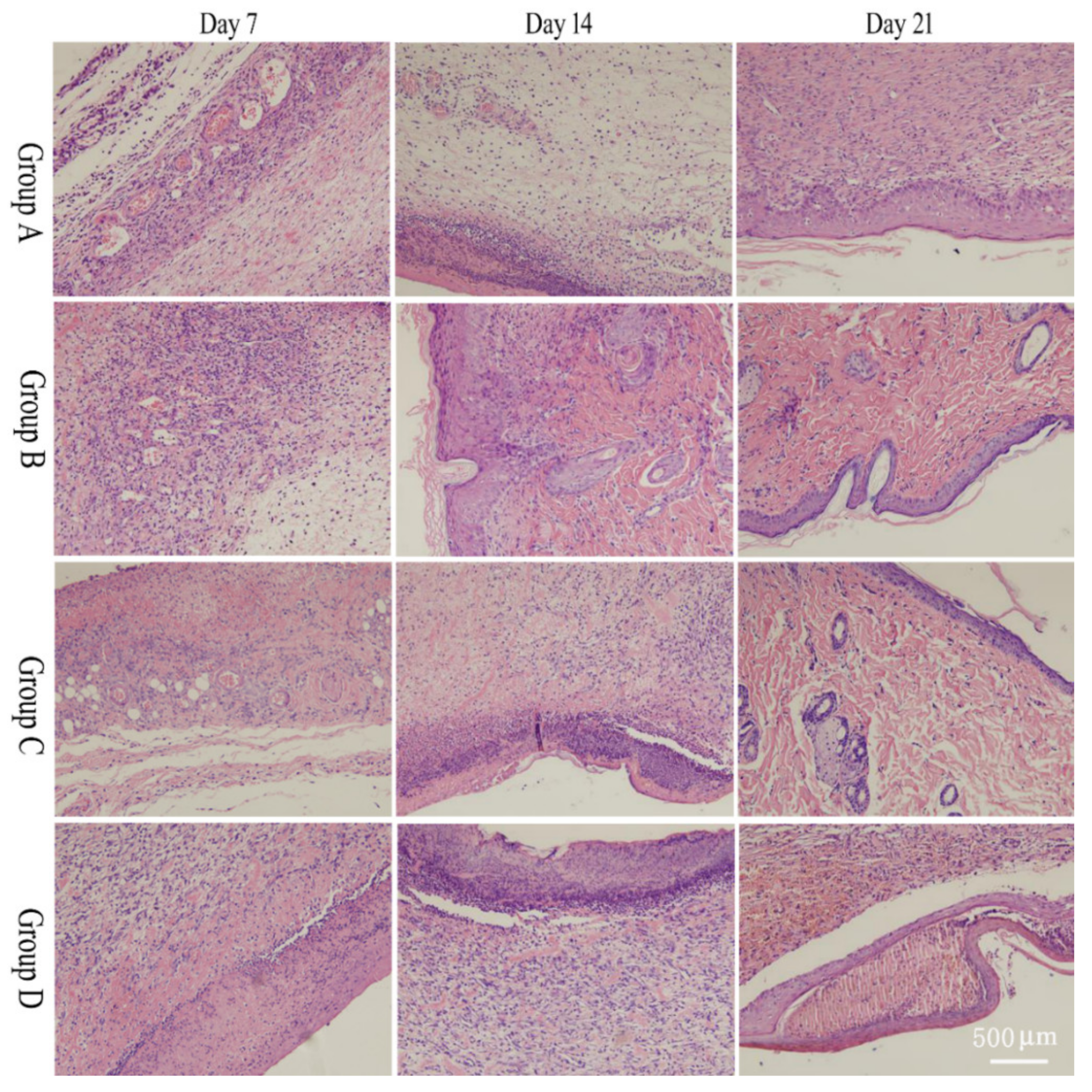 Molecules 28 05151 g003