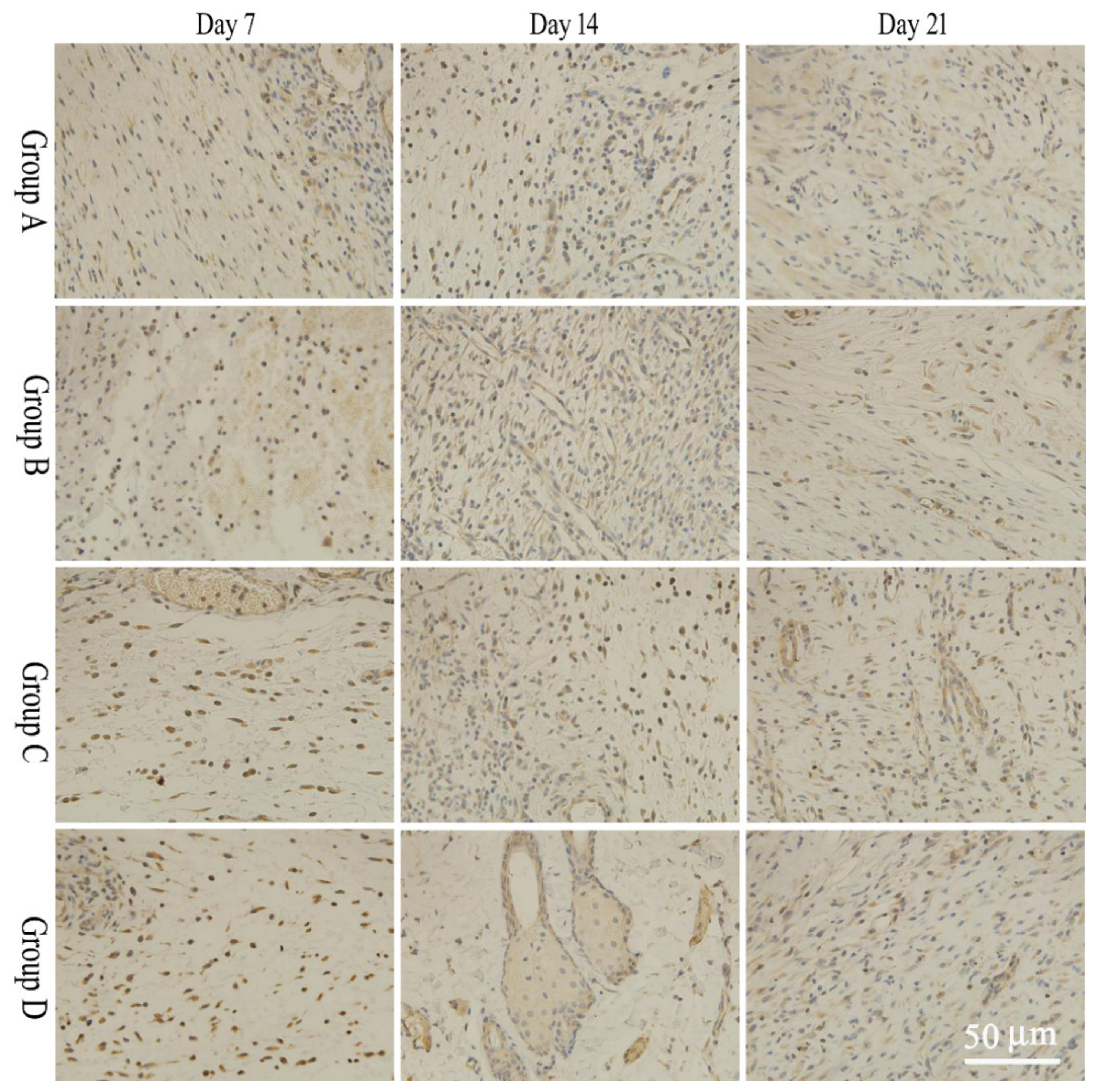 Molecules 28 05151 g004