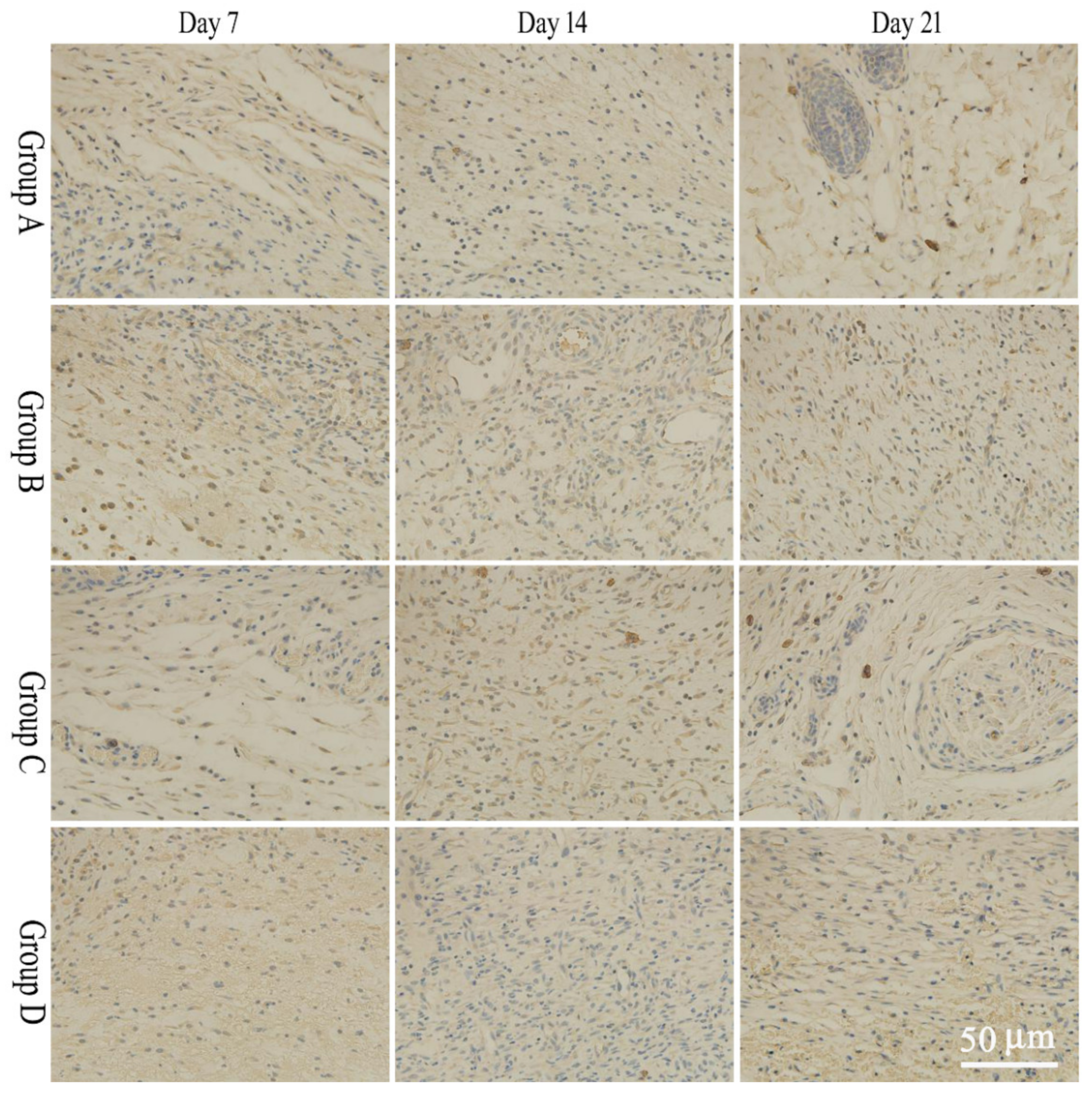 Molecules 28 05151 g005