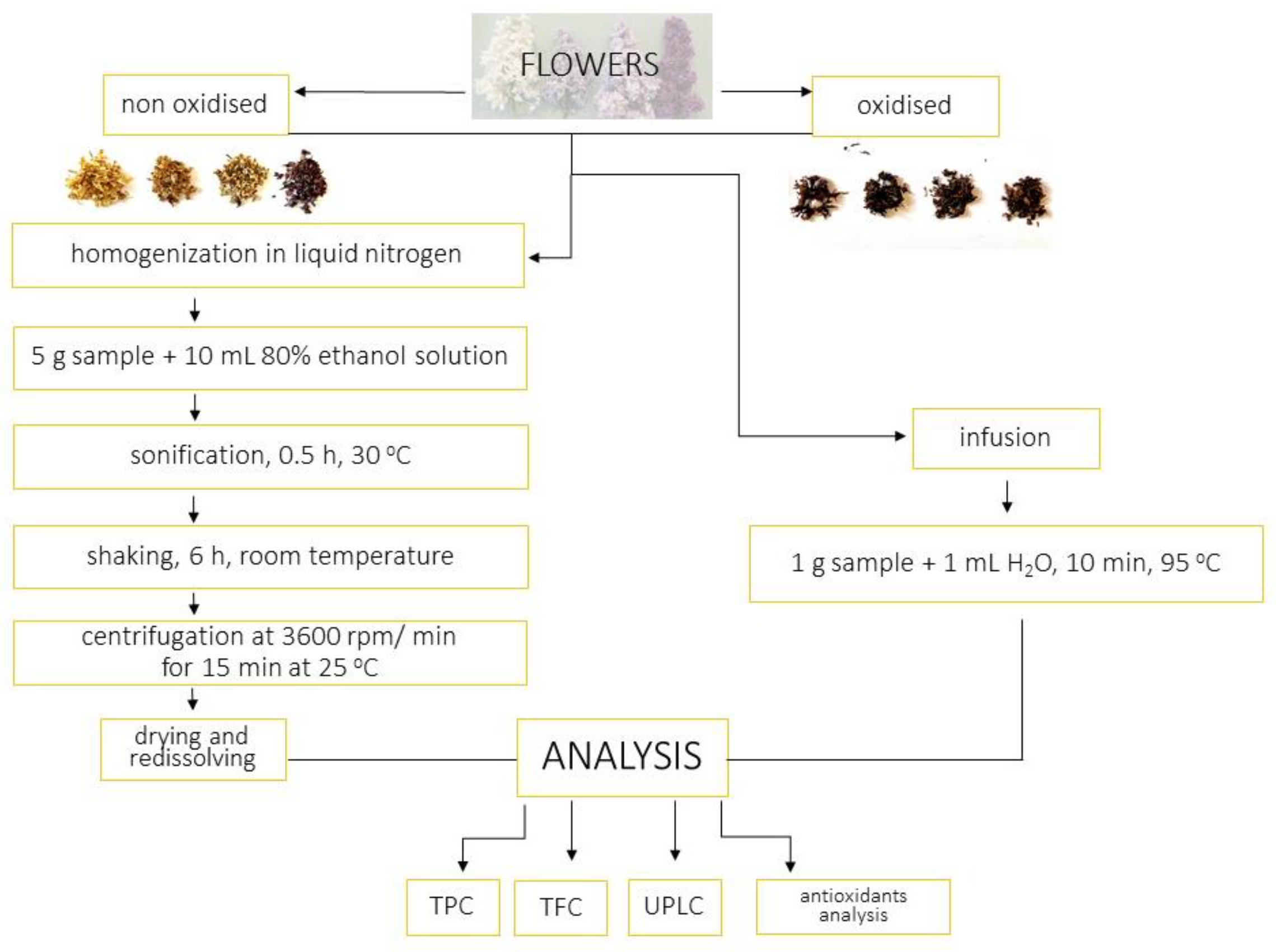 Molecules 28 05159 g007 Molecules 28 05159 g007
