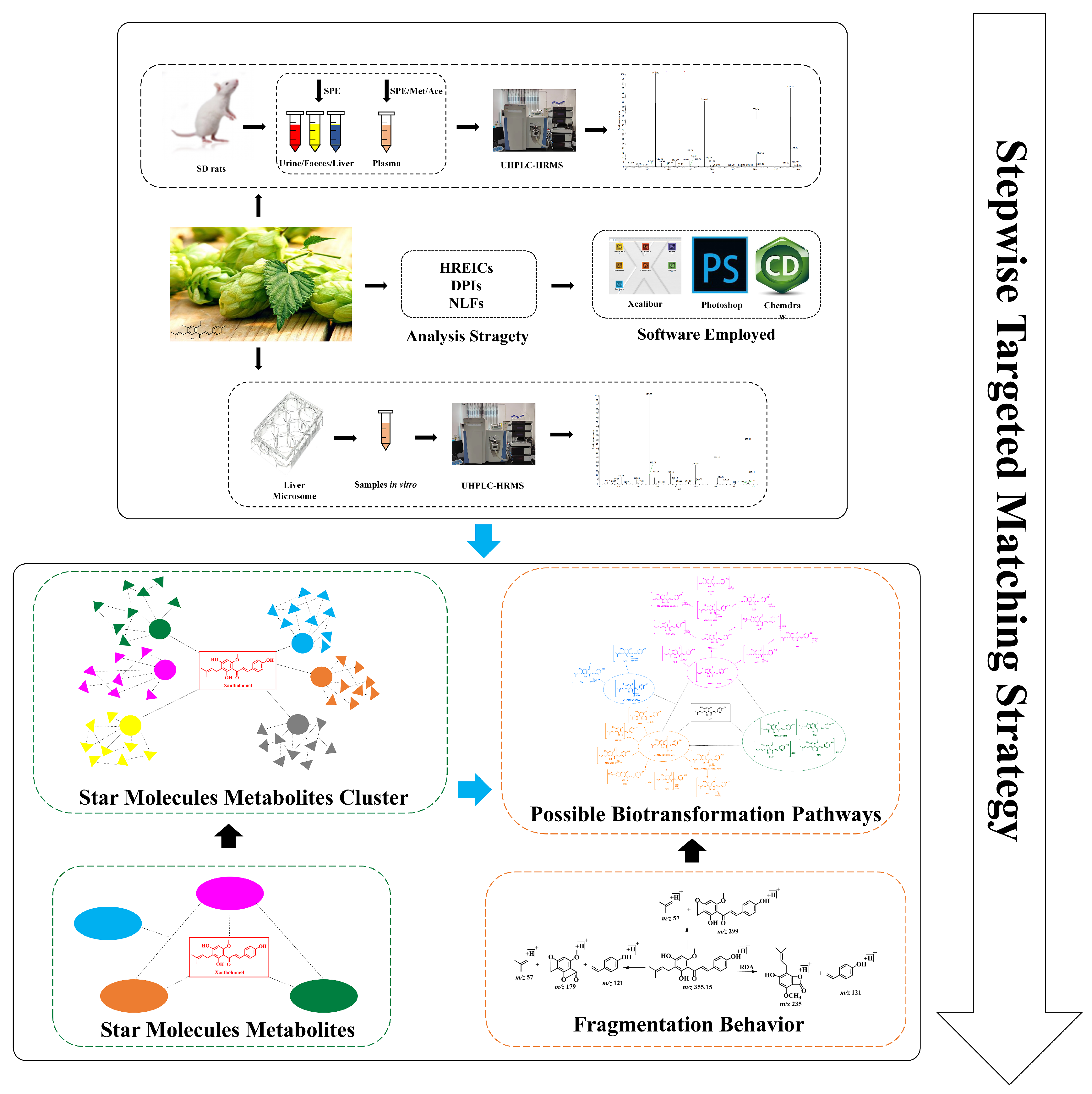 Molecules 28 05168 g002