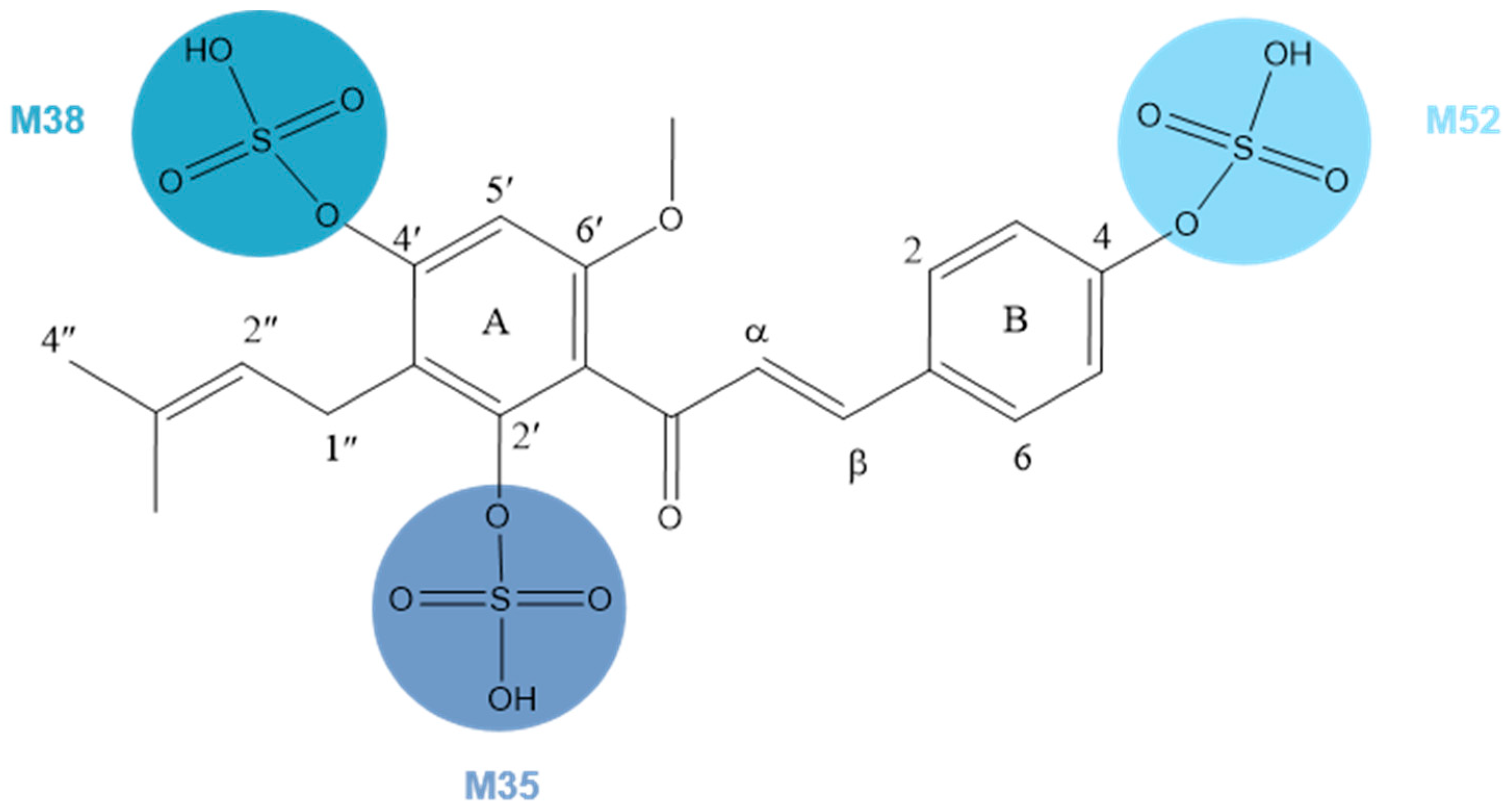 Molecules 28 05168 g005