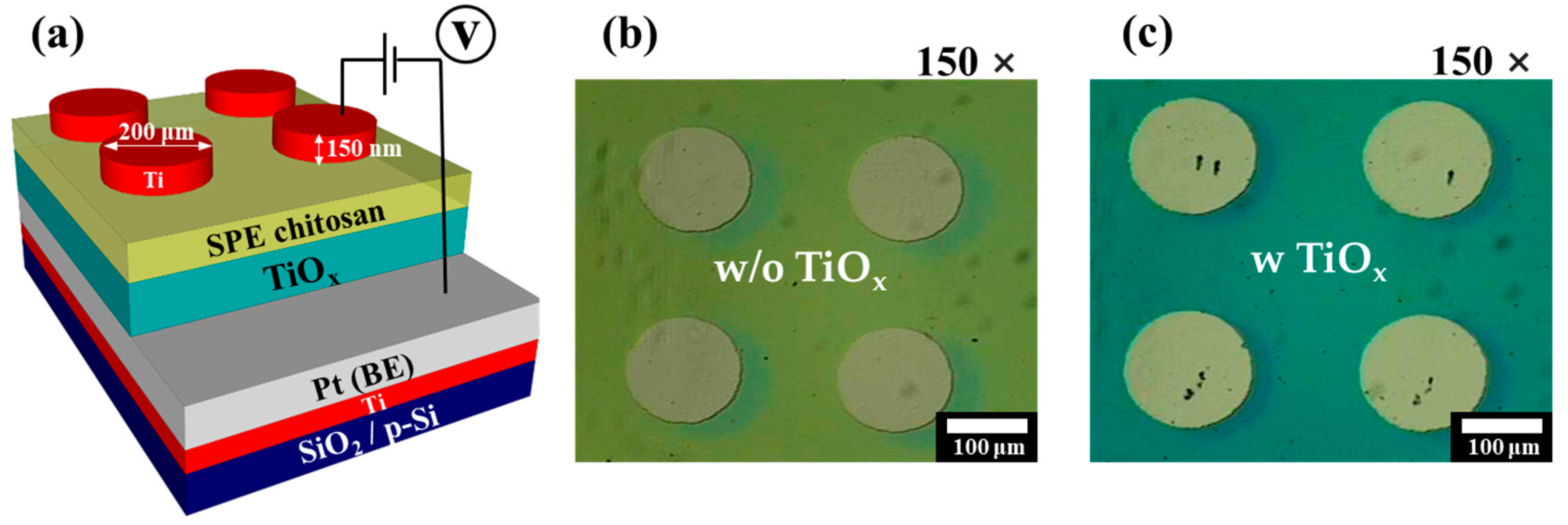 Molecules 28 05174 g001 Molecules 28 05174 g001