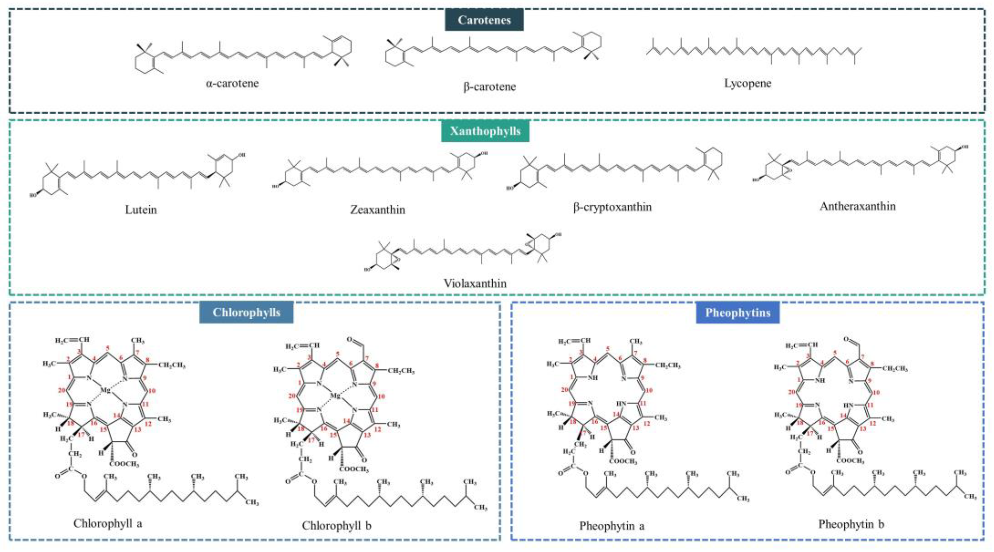 Molecules 28 05177 g001 Molecules 28 05177 g001