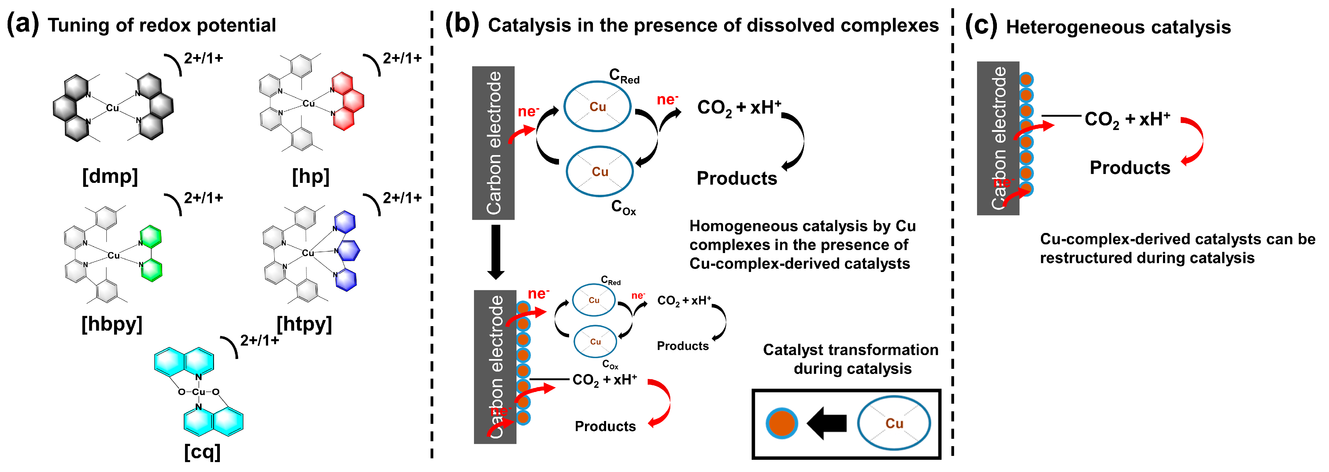 Molecules 28 05179 g001