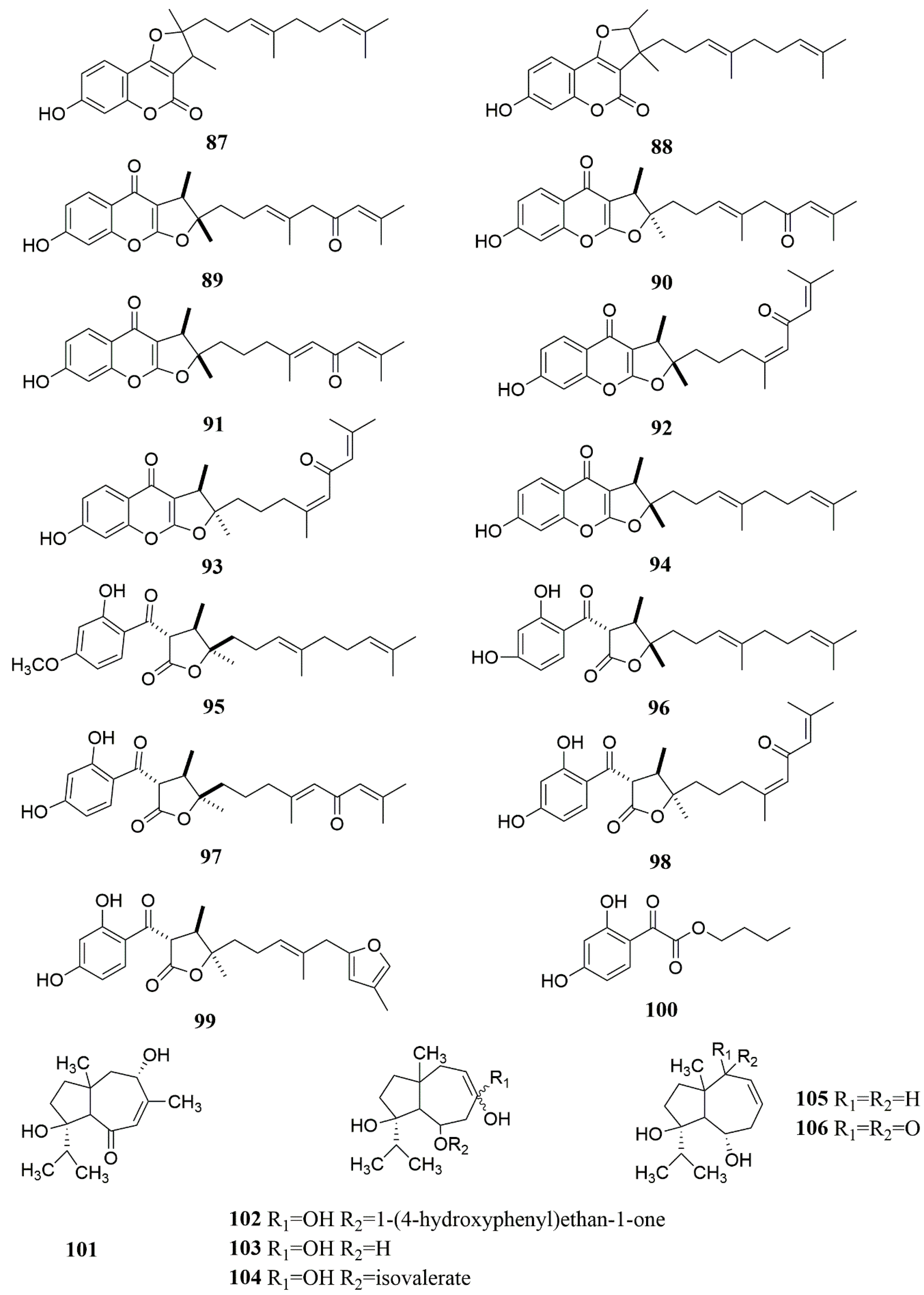 Molecules 28 05191 g006
