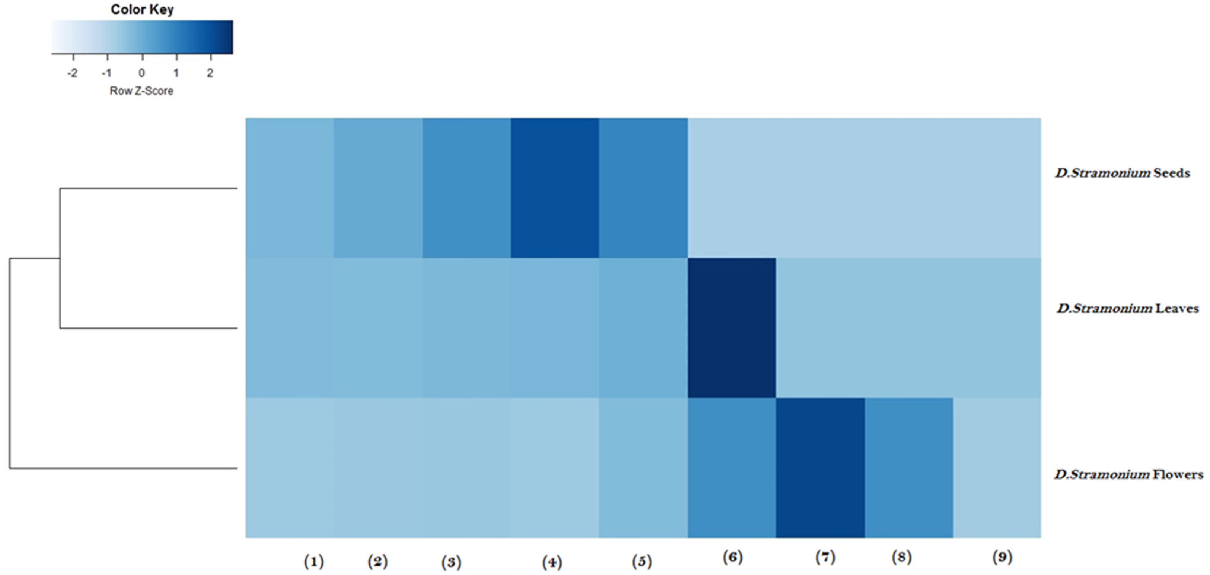 Molecules 28 05195 g001 Molecules 28 05195 g001