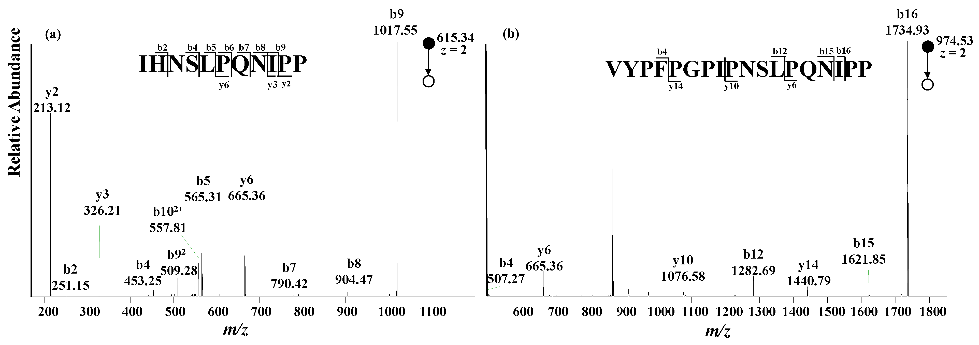 Molecules 28 05200 g004