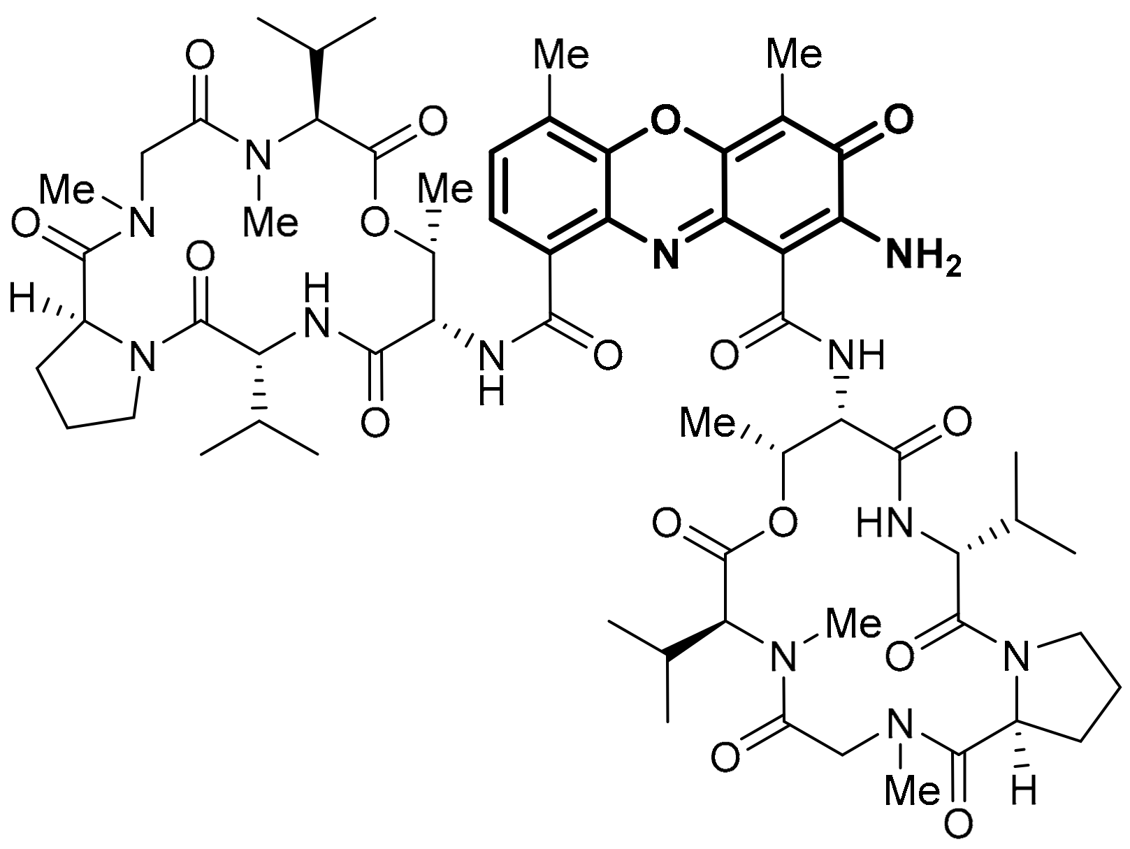 Molecules 28 05202 g005