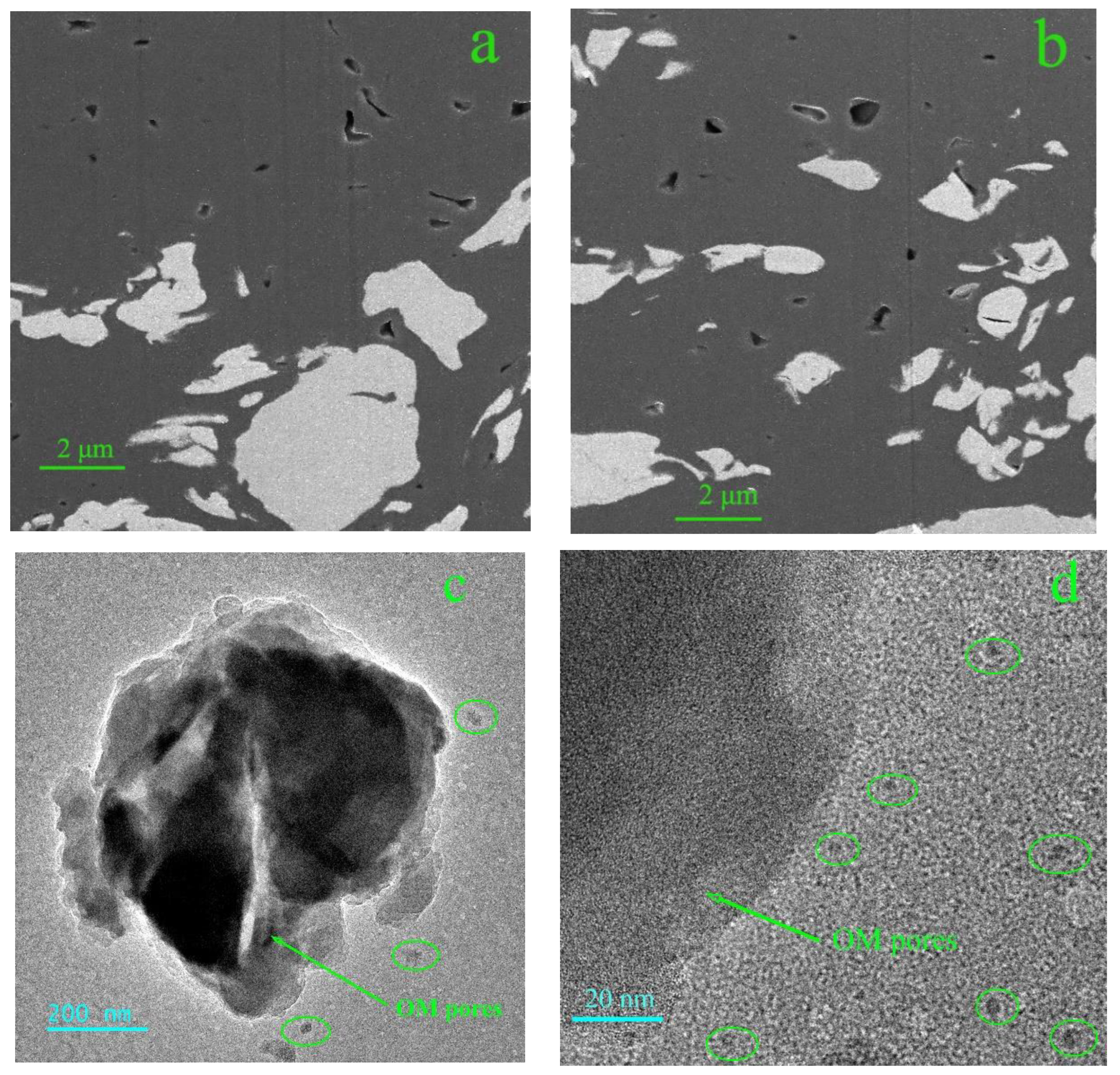 Molecules 28 05203 g009 Molecules 28 05203 g009