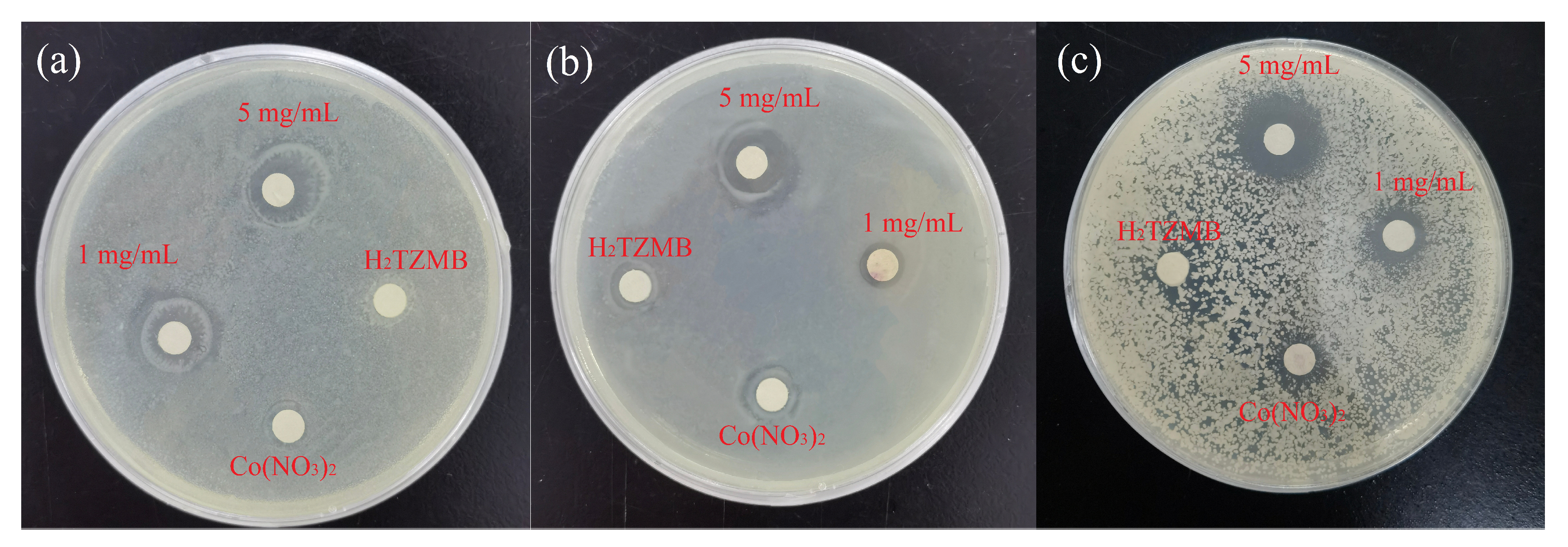 Molecules 28 05204 g004 Molecules 28 05204 g004