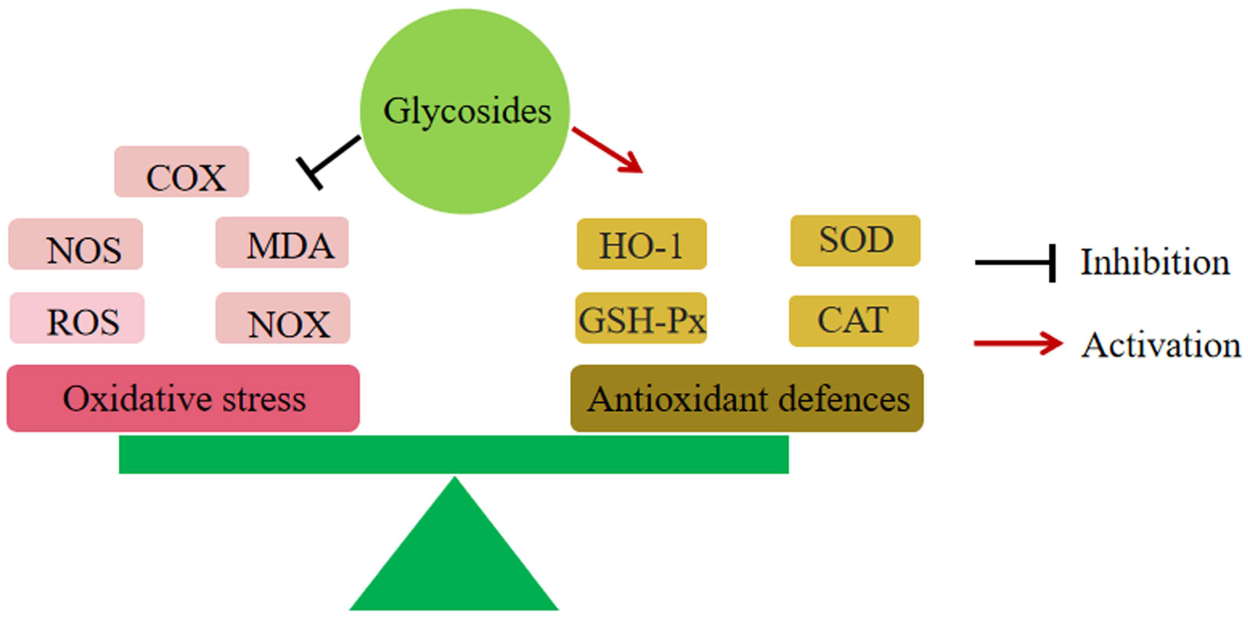 Molecules 28 05210 g002 Molecules 28 05210 g002