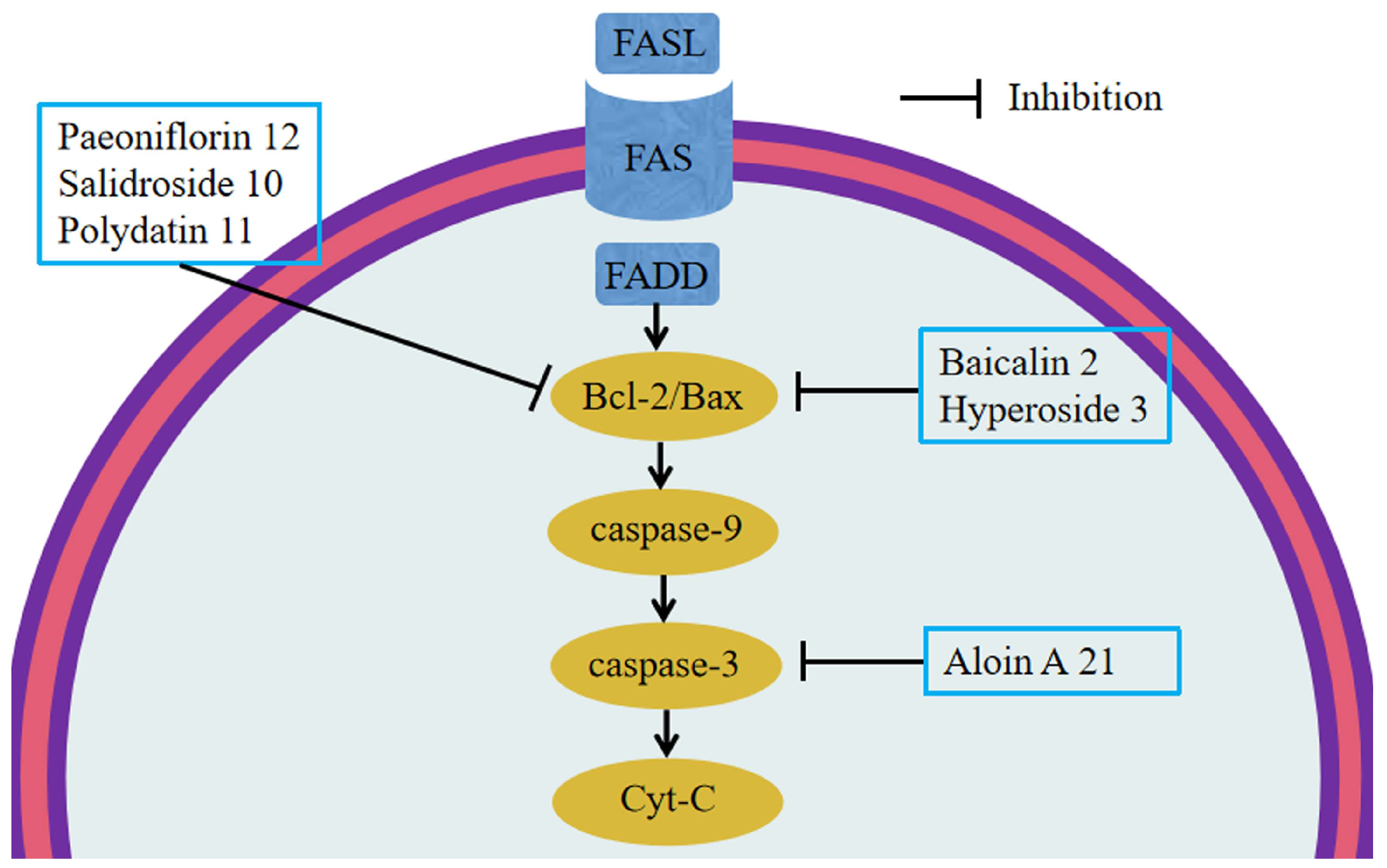 Molecules 28 05210 g003 Molecules 28 05210 g003
