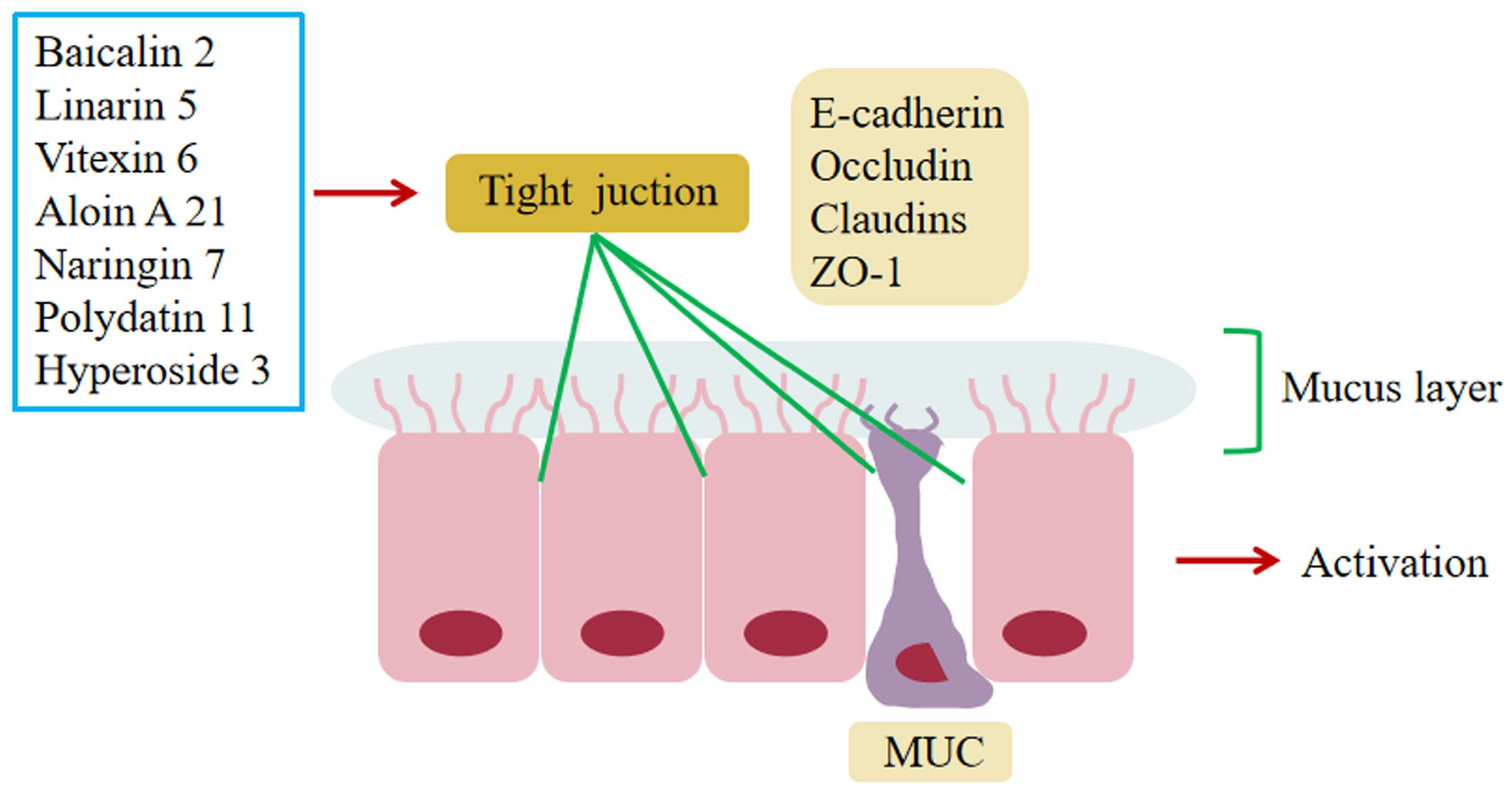 Molecules 28 05210 g004 Molecules 28 05210 g004