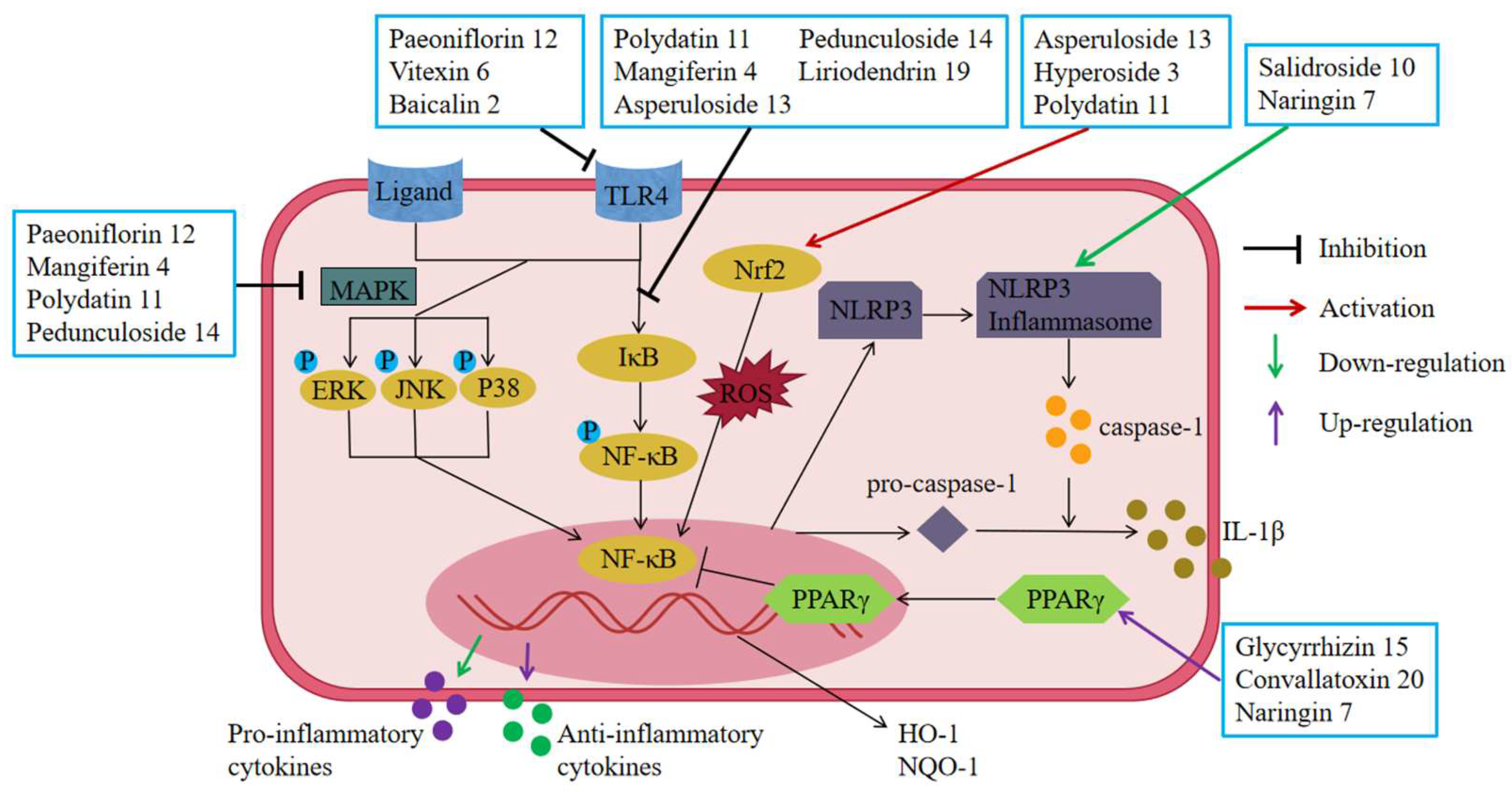 Molecules 28 05210 g006 Molecules 28 05210 g006
