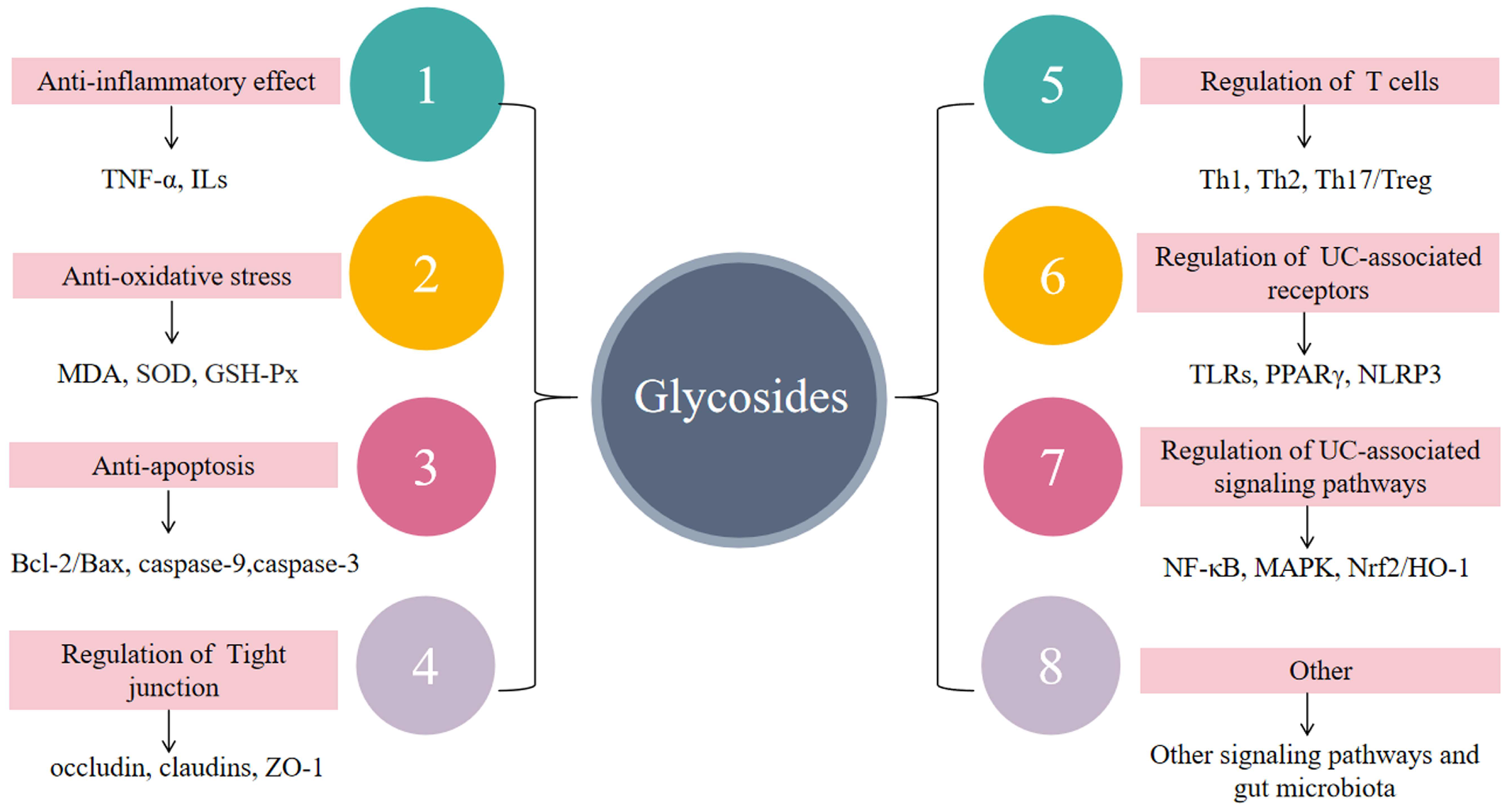 Molecules 28 05210 g007 Molecules 28 05210 g007