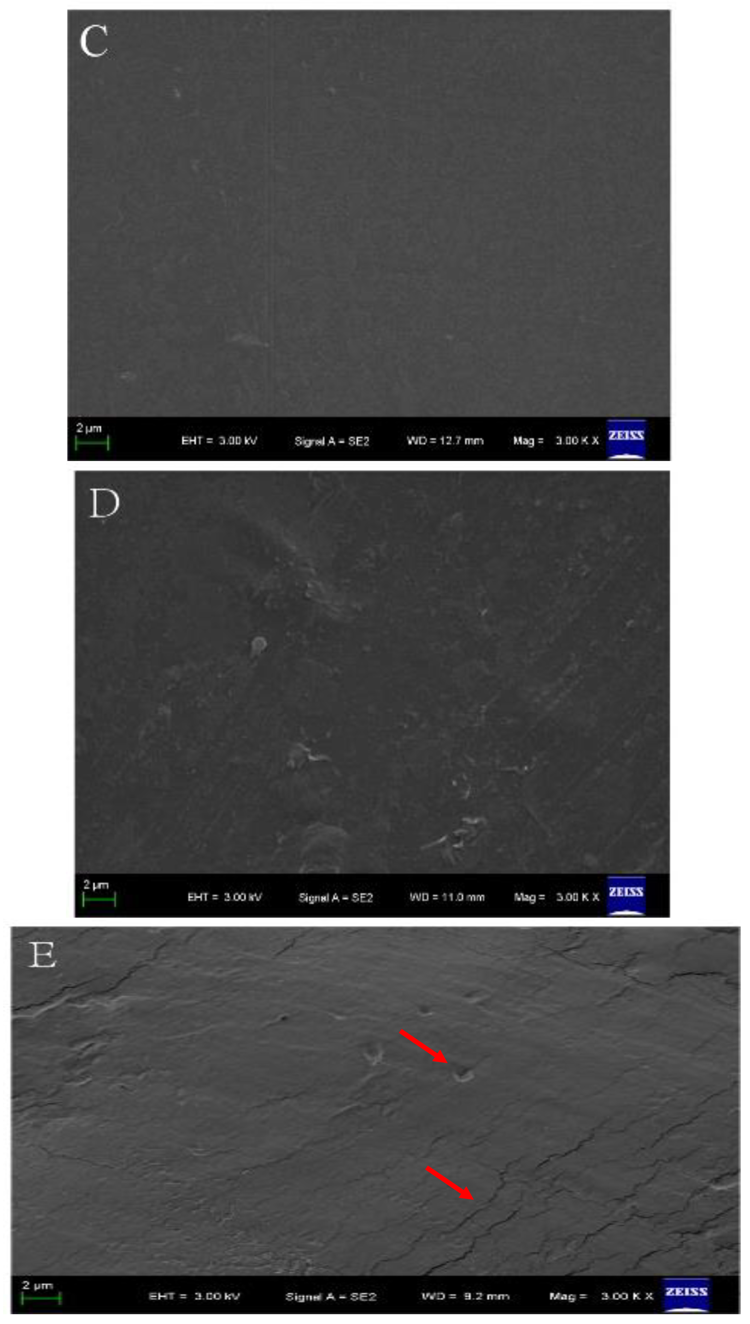 Molecules 28 05211 g004b