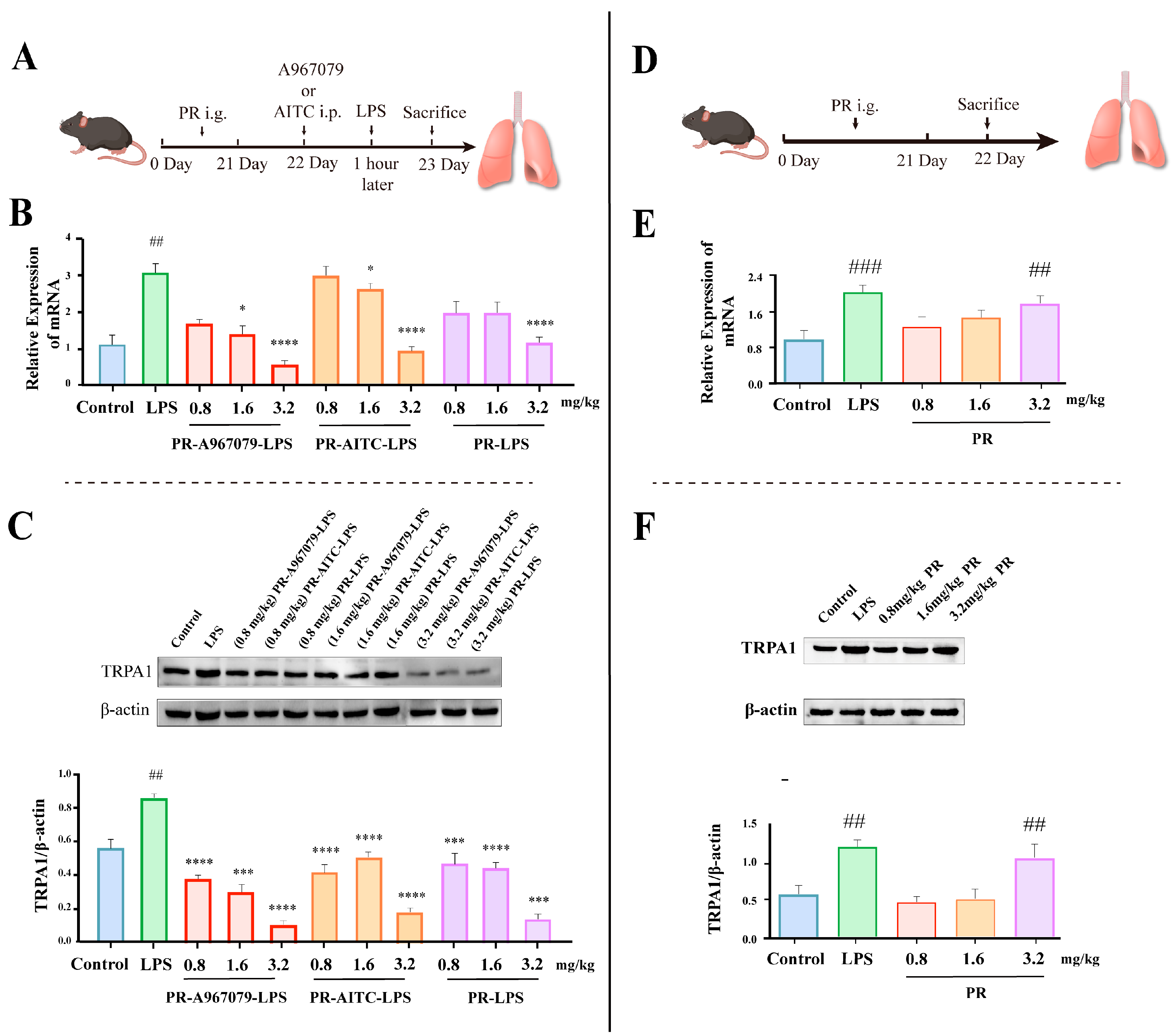 Molecules 28 05213 g002 Molecules 28 05213 g002