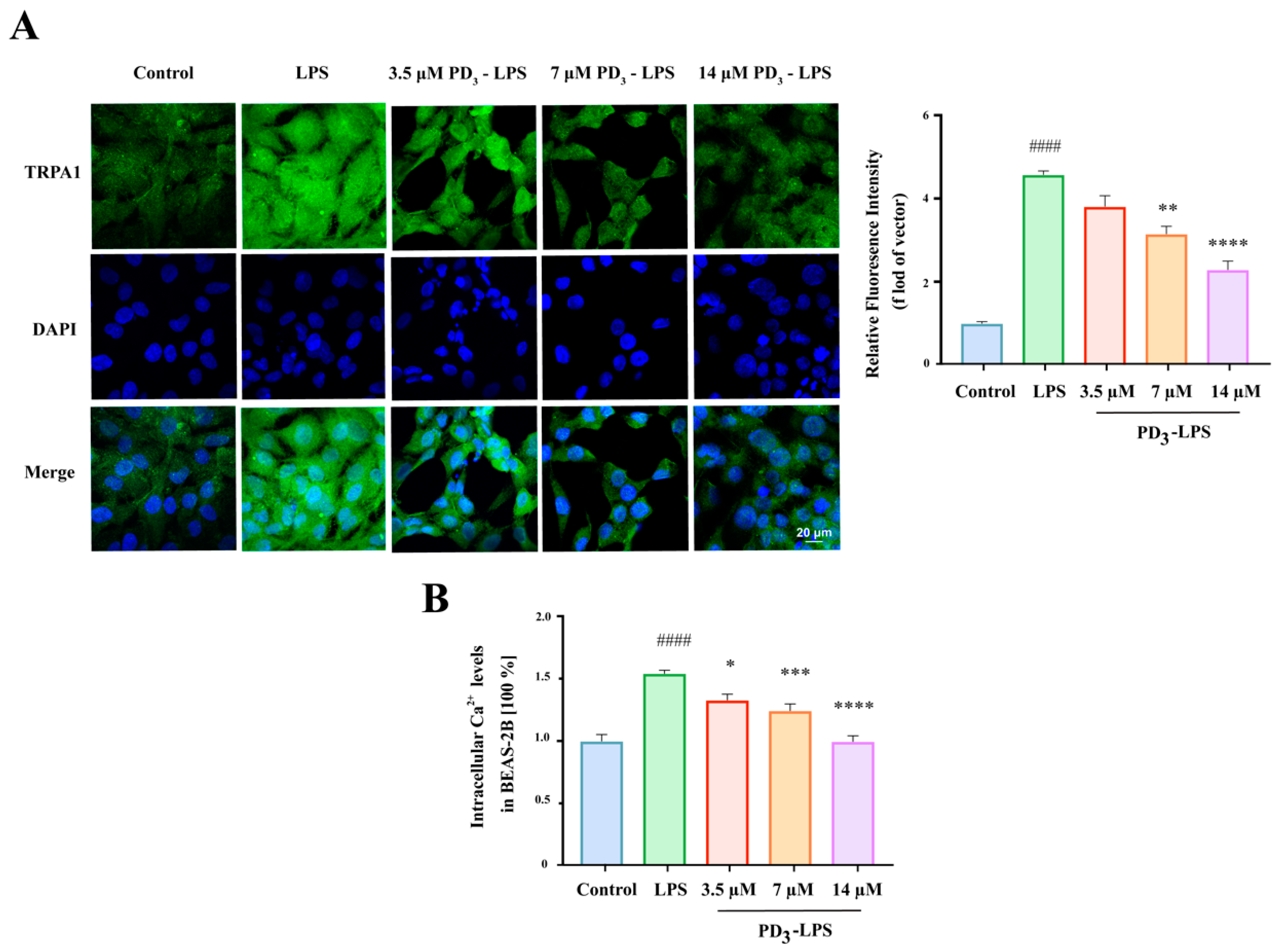 Molecules 28 05213 g005 Molecules 28 05213 g005