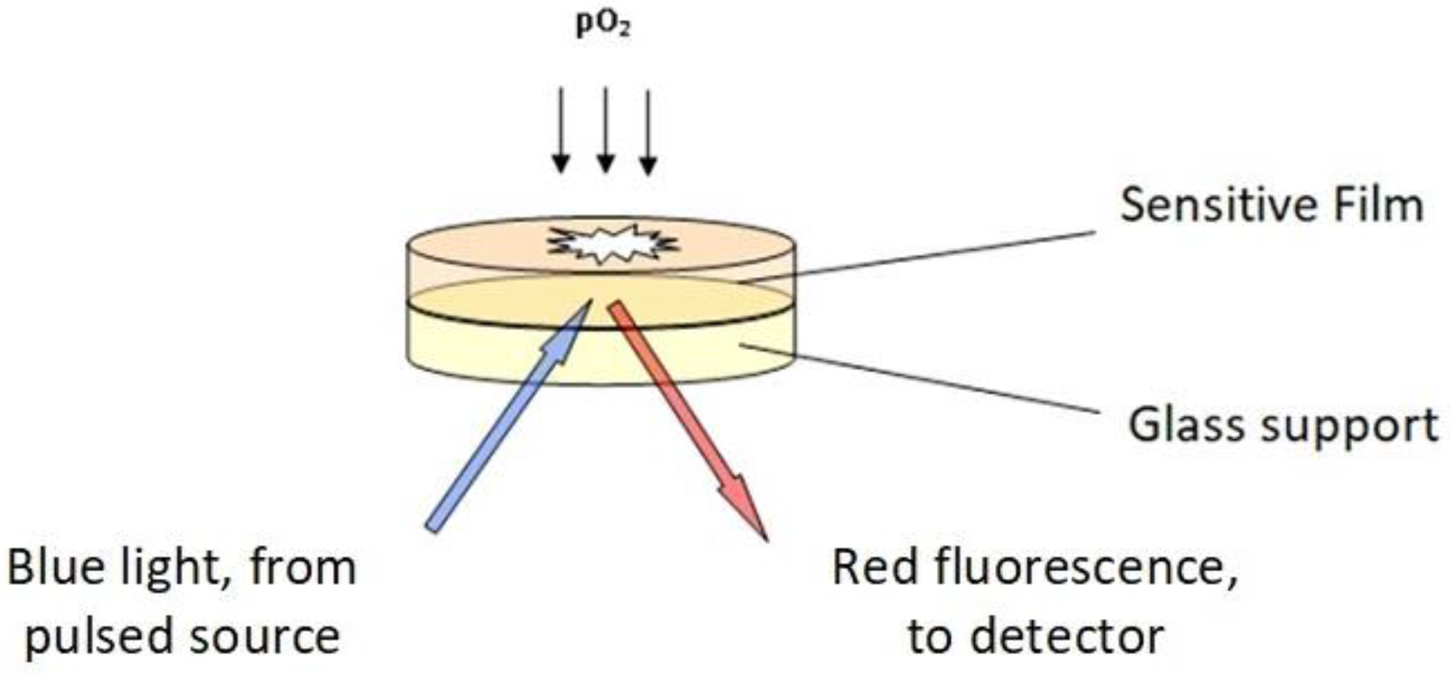 Molecules 28 05216 g009