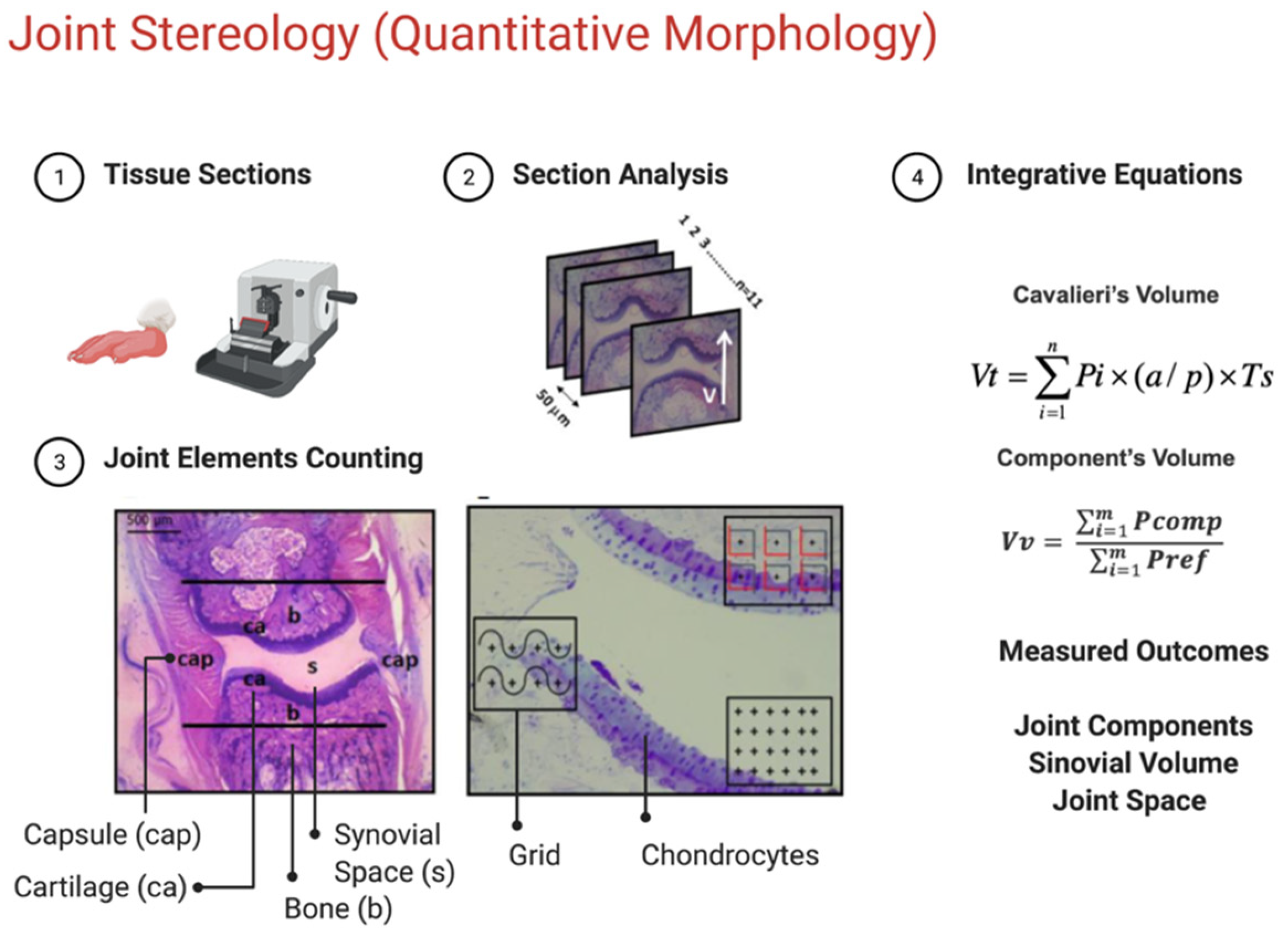 Molecules 28 05219 g008