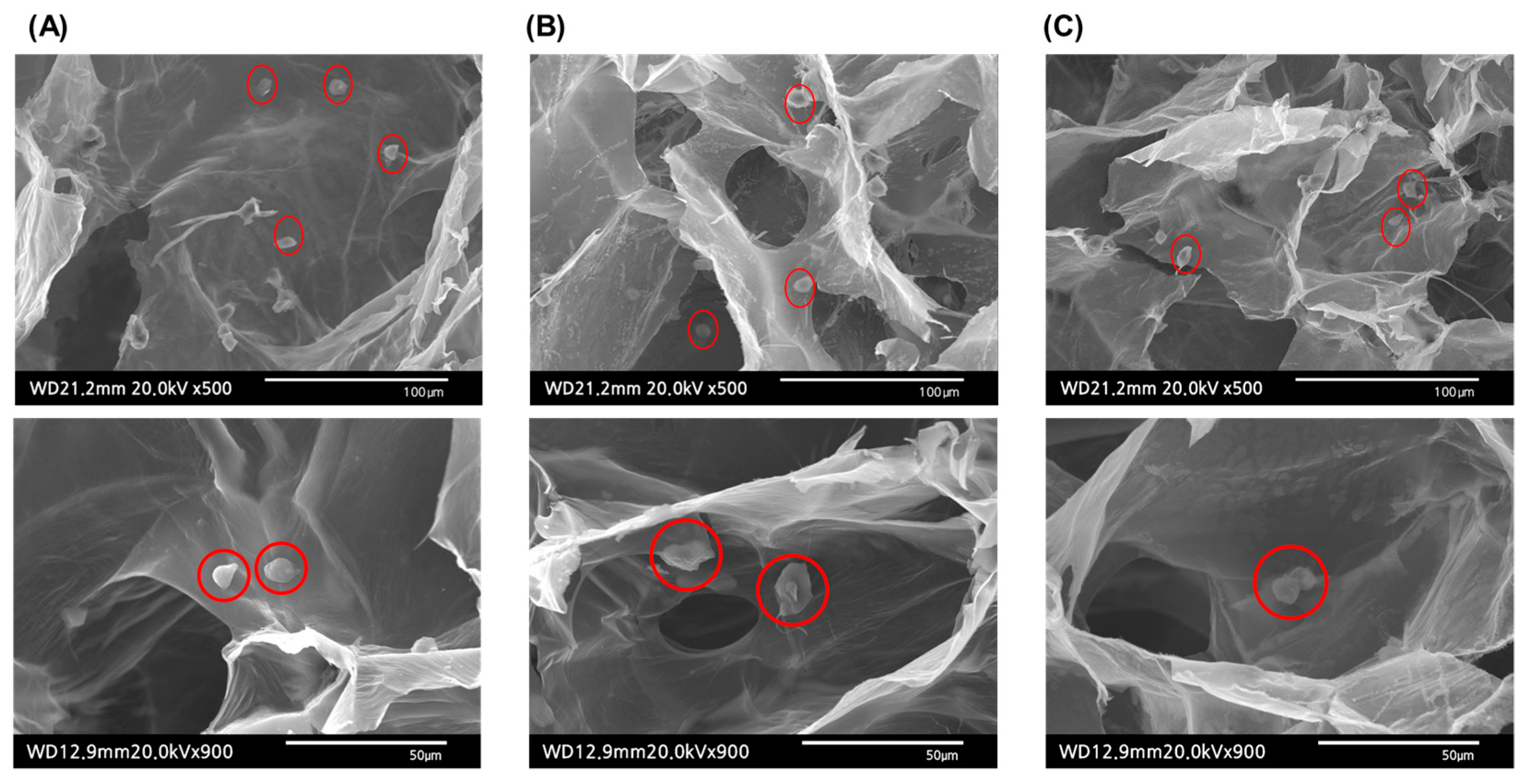 Molecules 28 05222 g006 Molecules 28 05222 g006