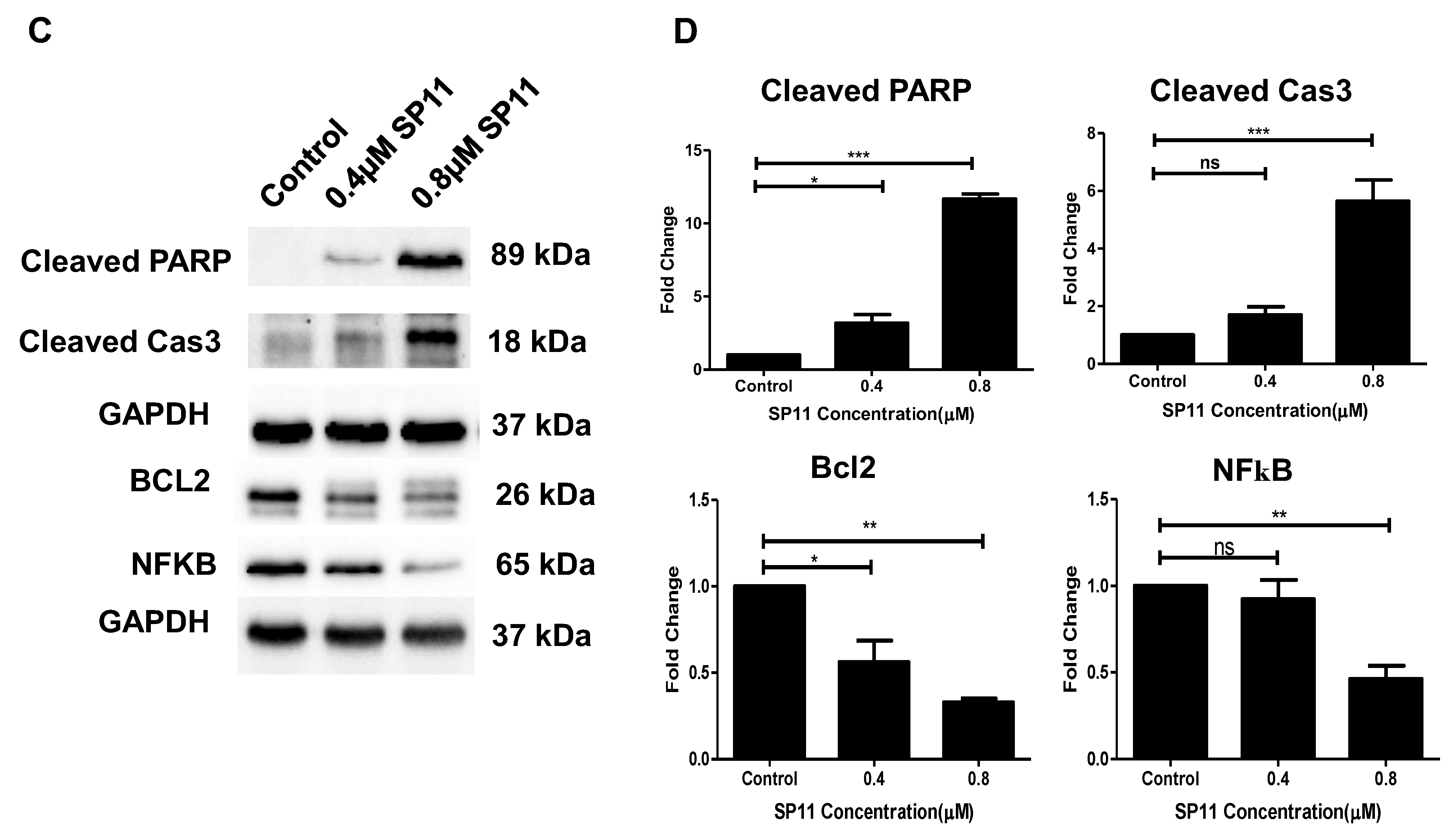 Molecules 28 05226 g004b Molecules 28 05226 g004b
